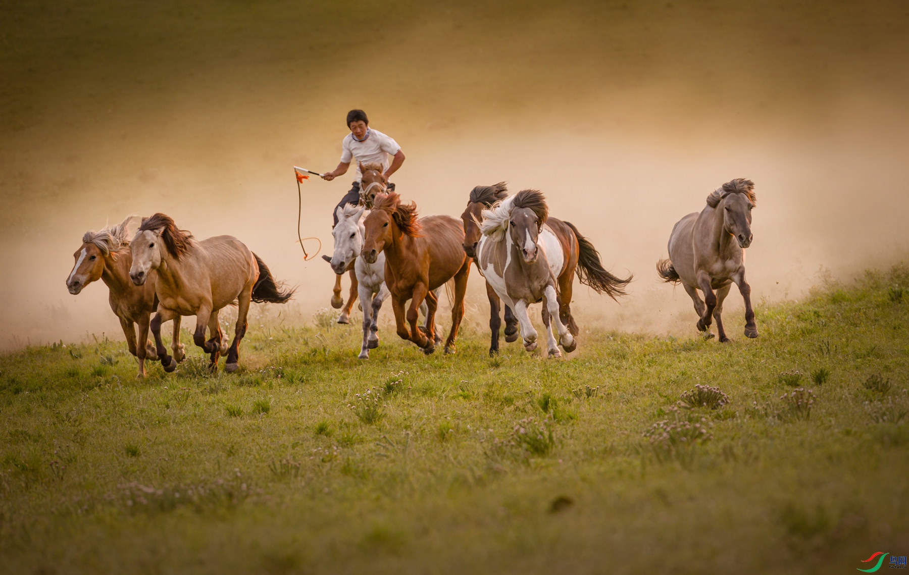 DSC_0604 ����_����.jpg