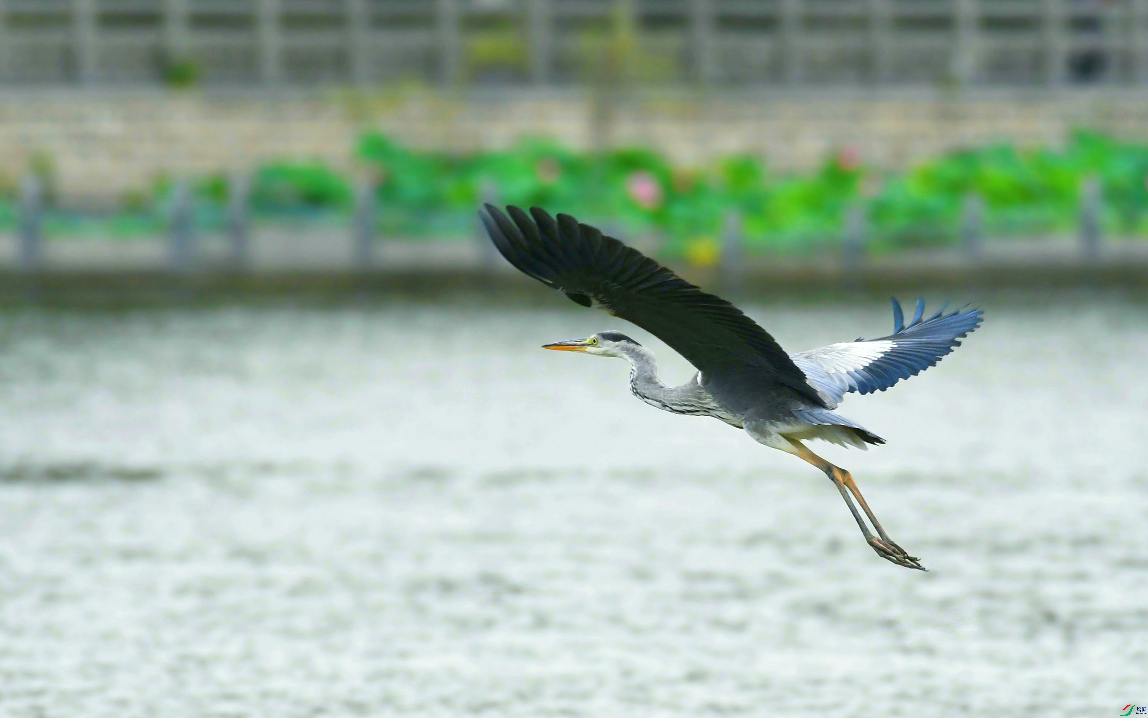 DSC_3152.JPG