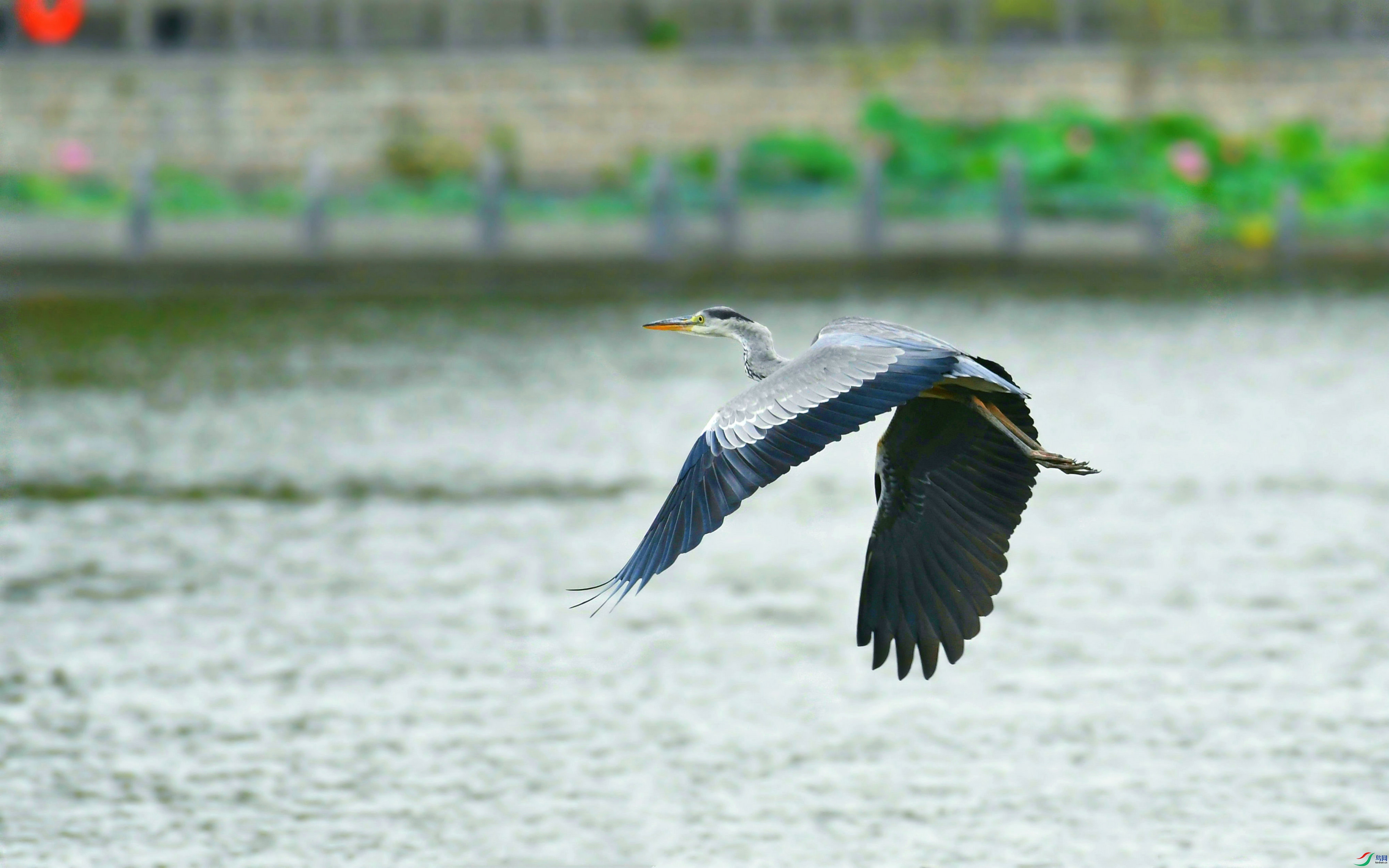DSC_3153.JPG