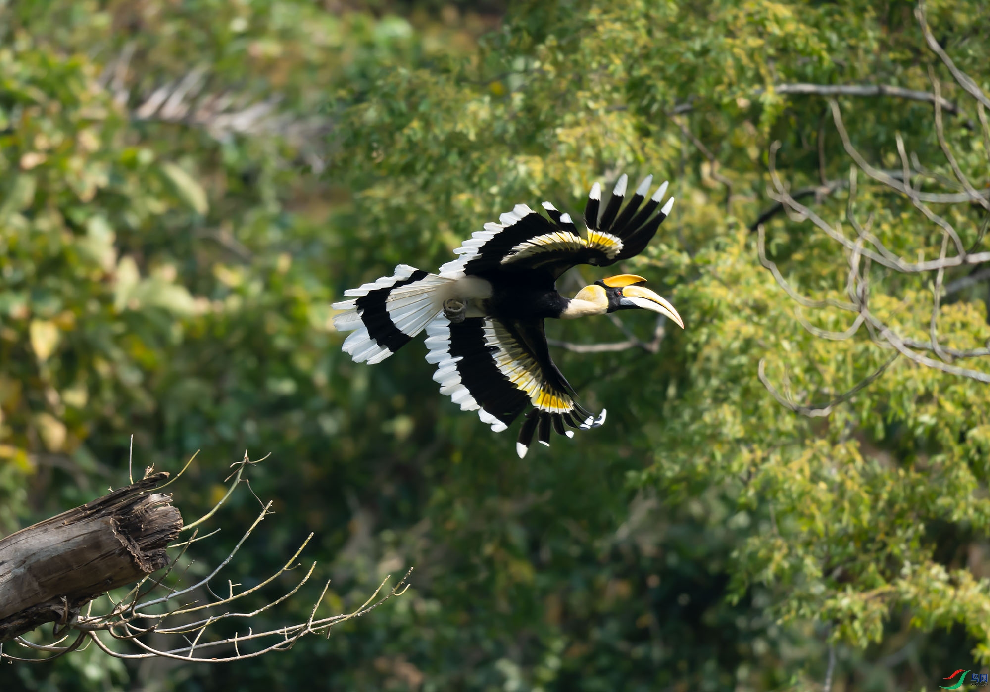 _DSC4814.jpg=.jpg