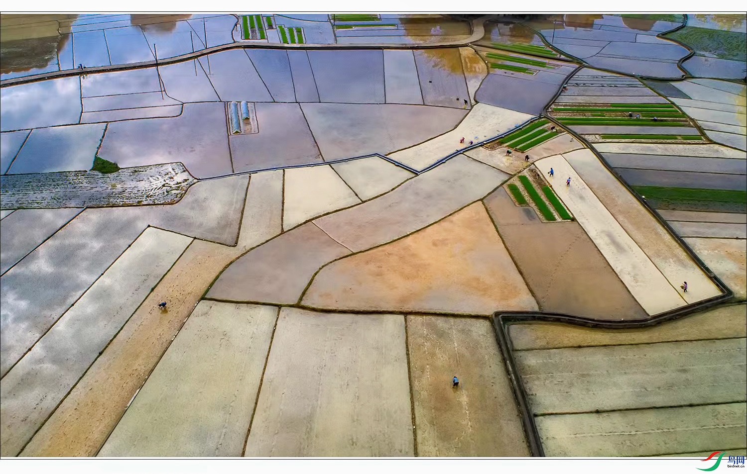 dd13be3892254fd37da13eee6c24611 ����.jpg