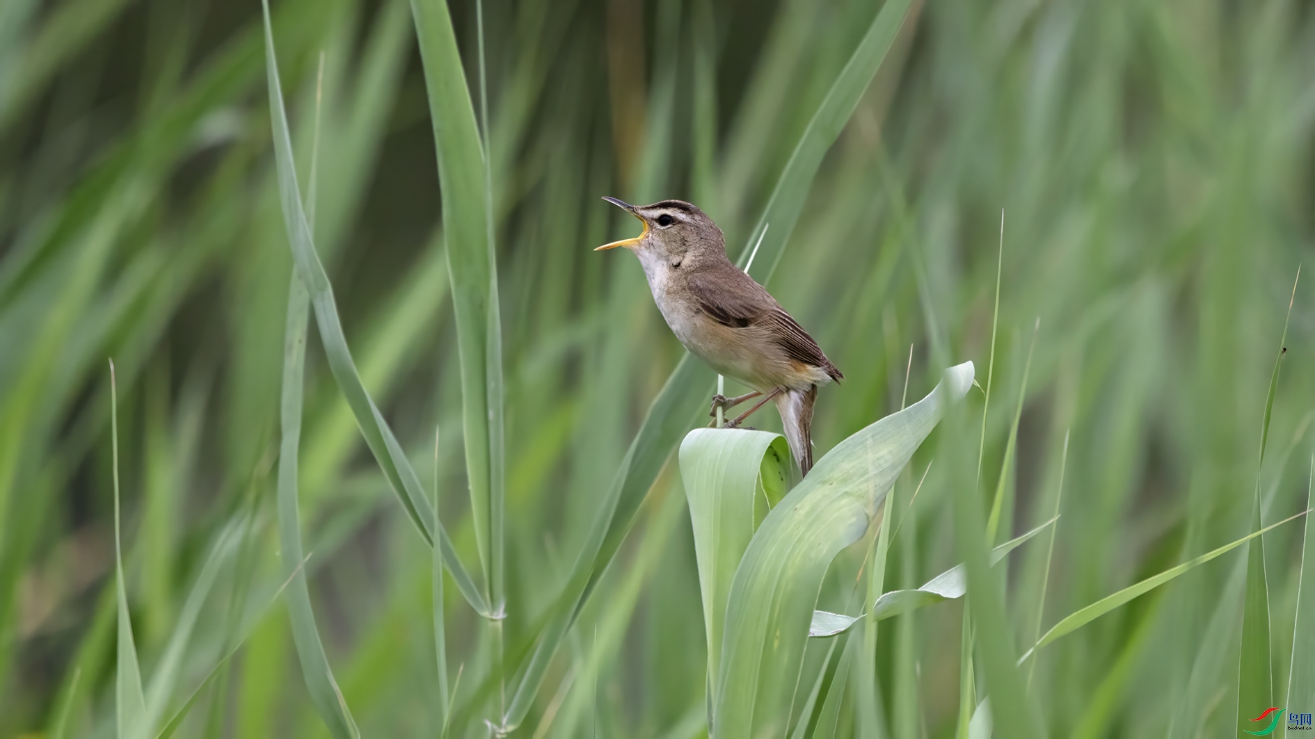 3U2A3278 ���� 2.jpg