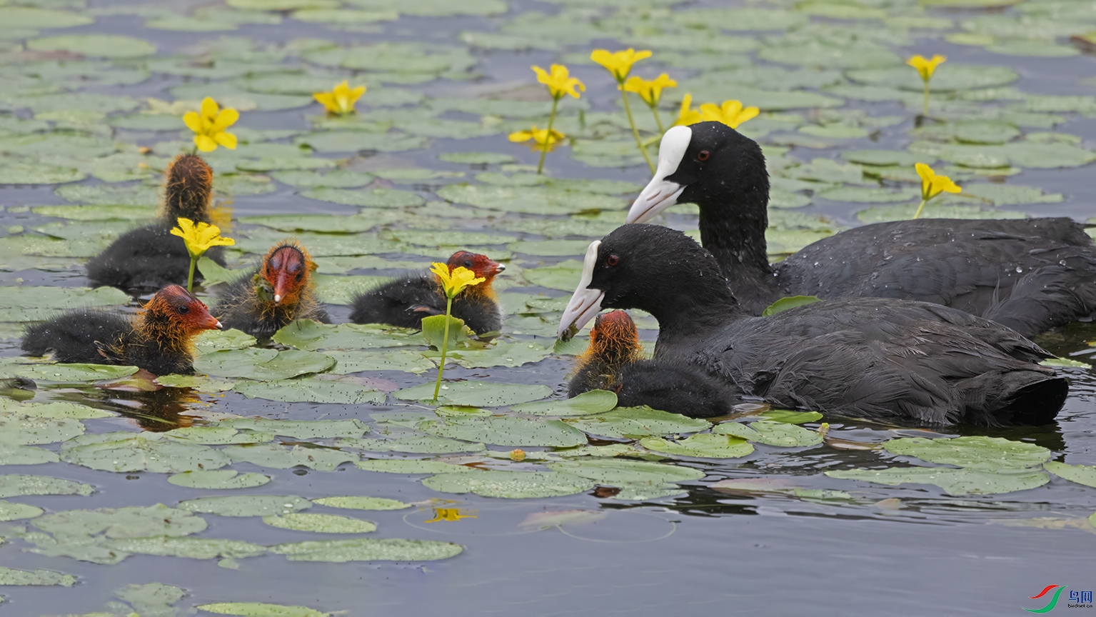 3U2A4068 ���� 2.jpg