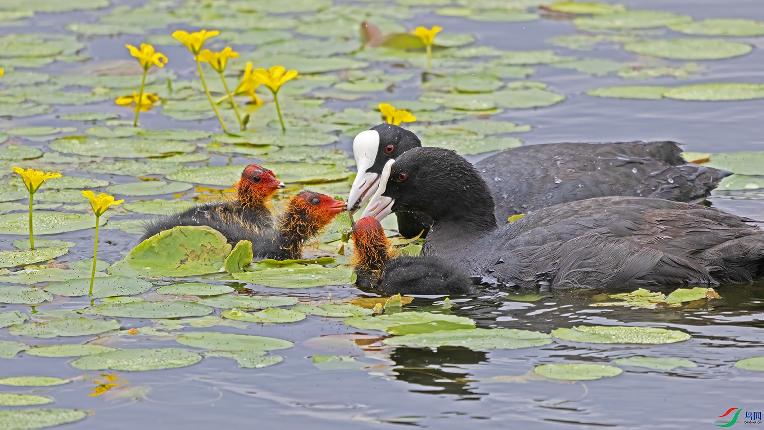 3U2A4031 ���� 2.jpg