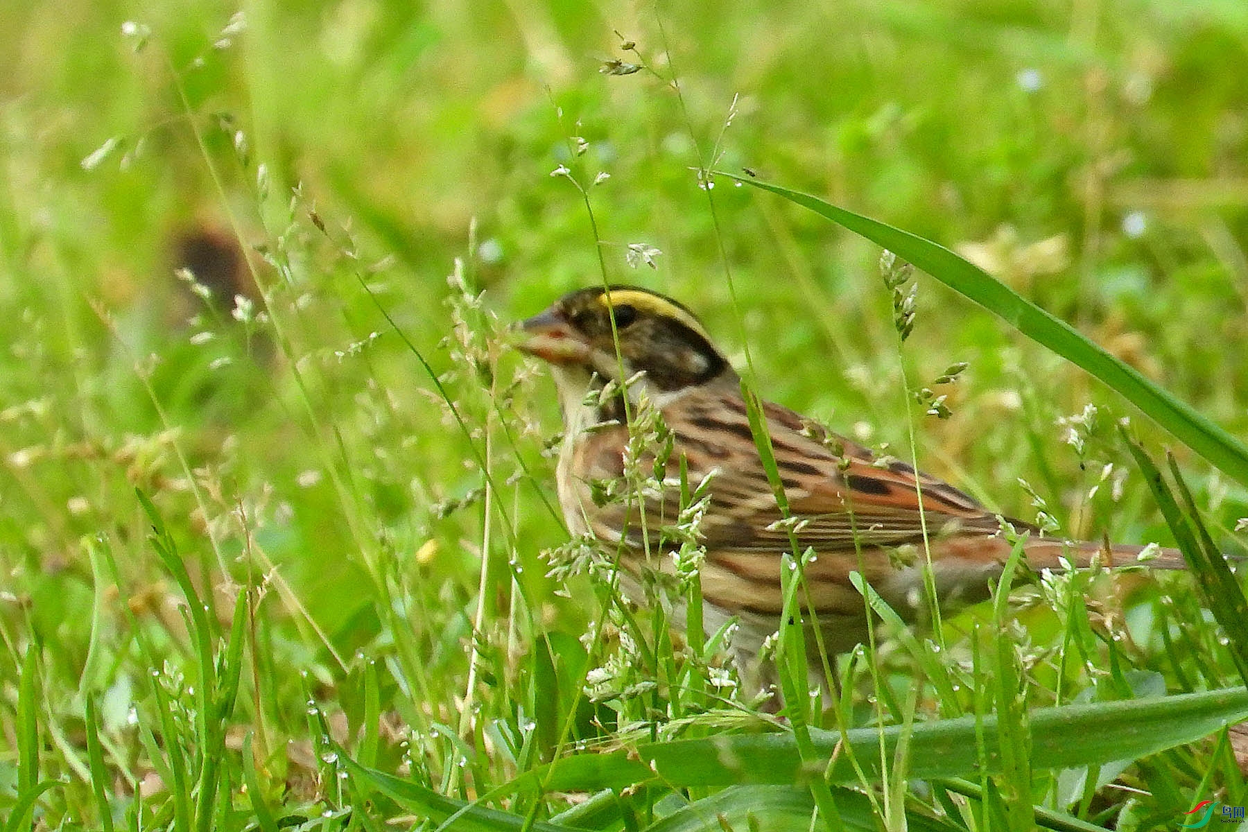 DSCN5459.jpg