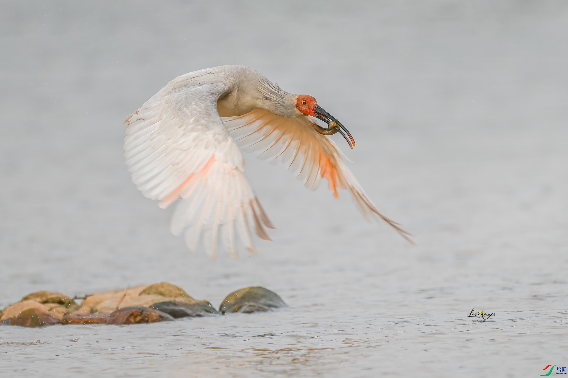 DSC_8321 ���� 2.jpg