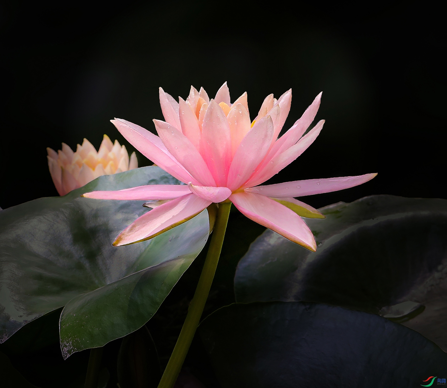 0000IMG_2469 ˯ɏ1000k.jpg