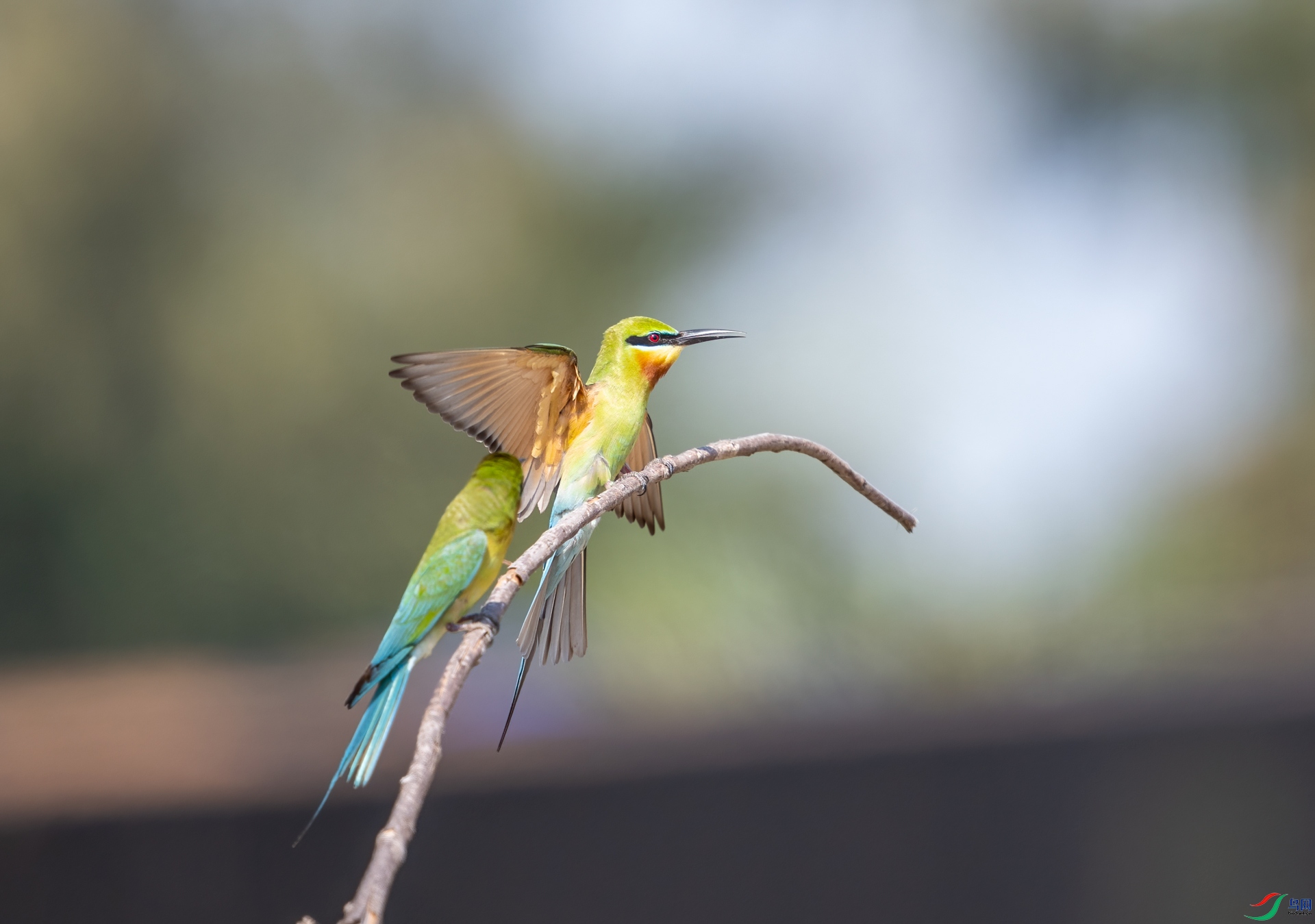 DSC_0011.jpg