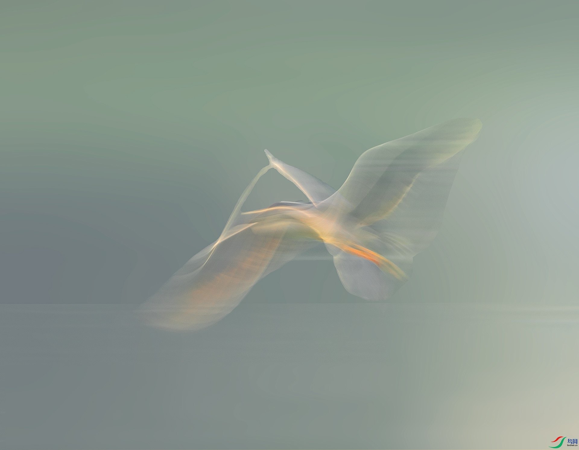 019A0804 ����.jpg