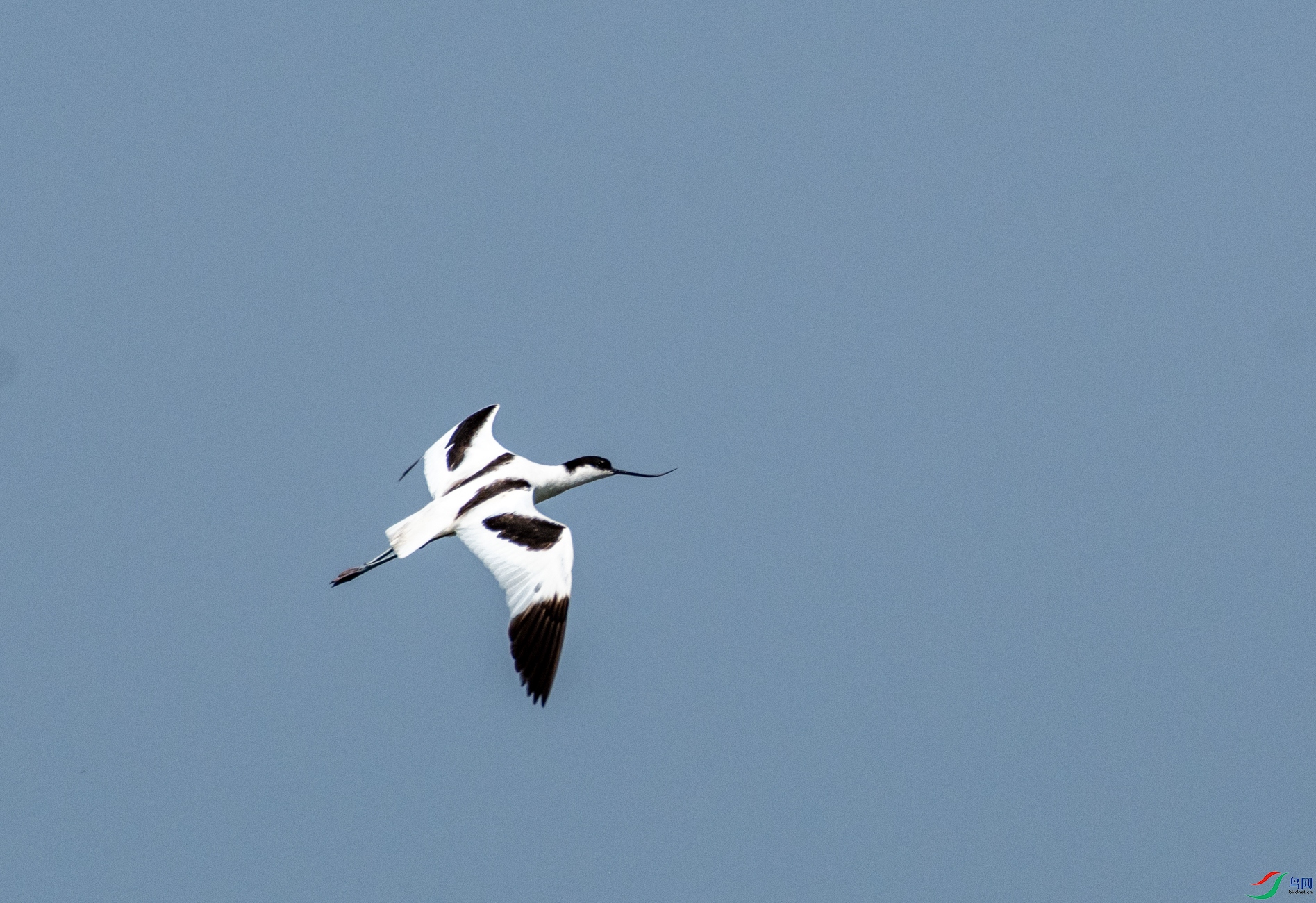 DSC_9539.jpg