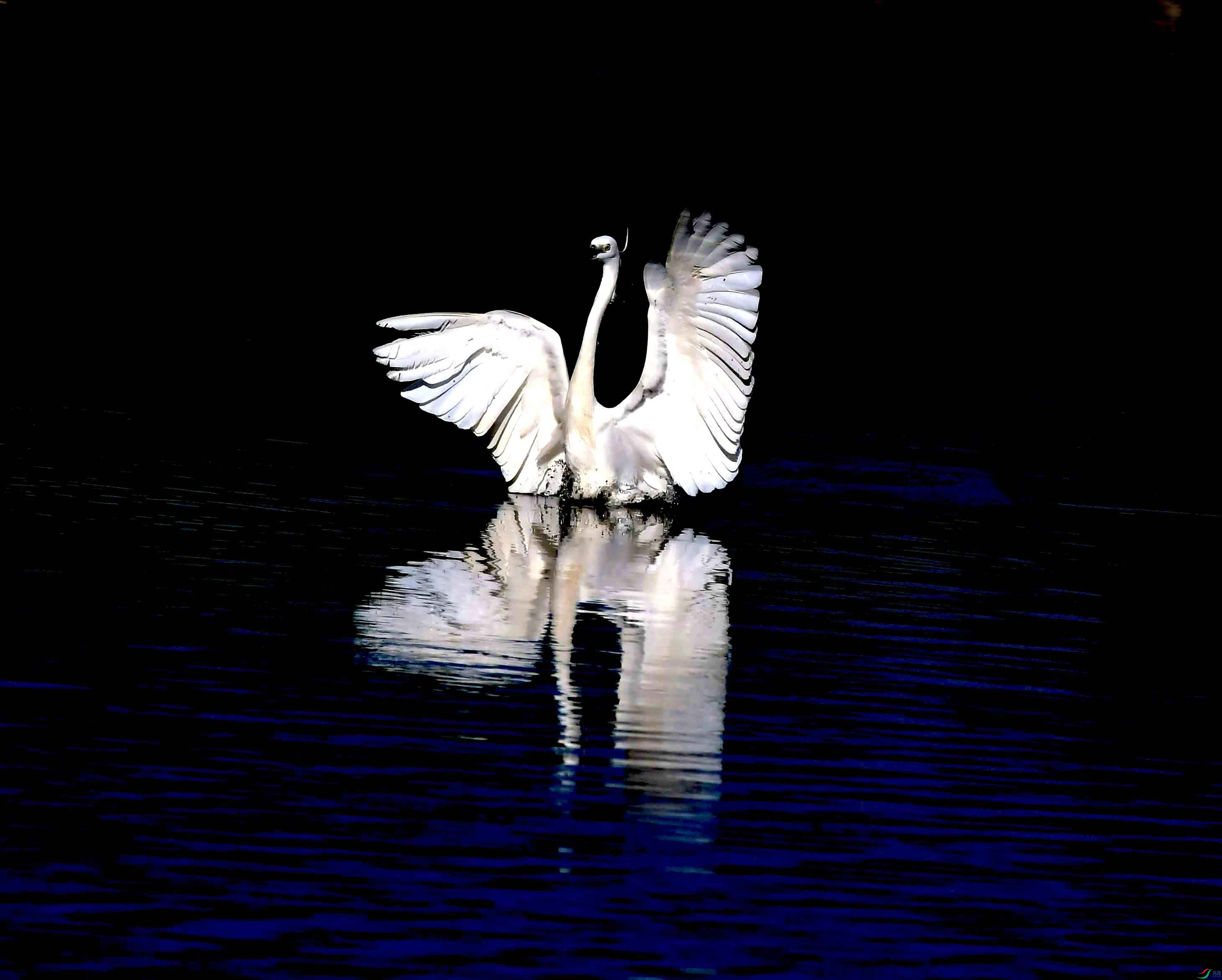 DSC_3602.JPG