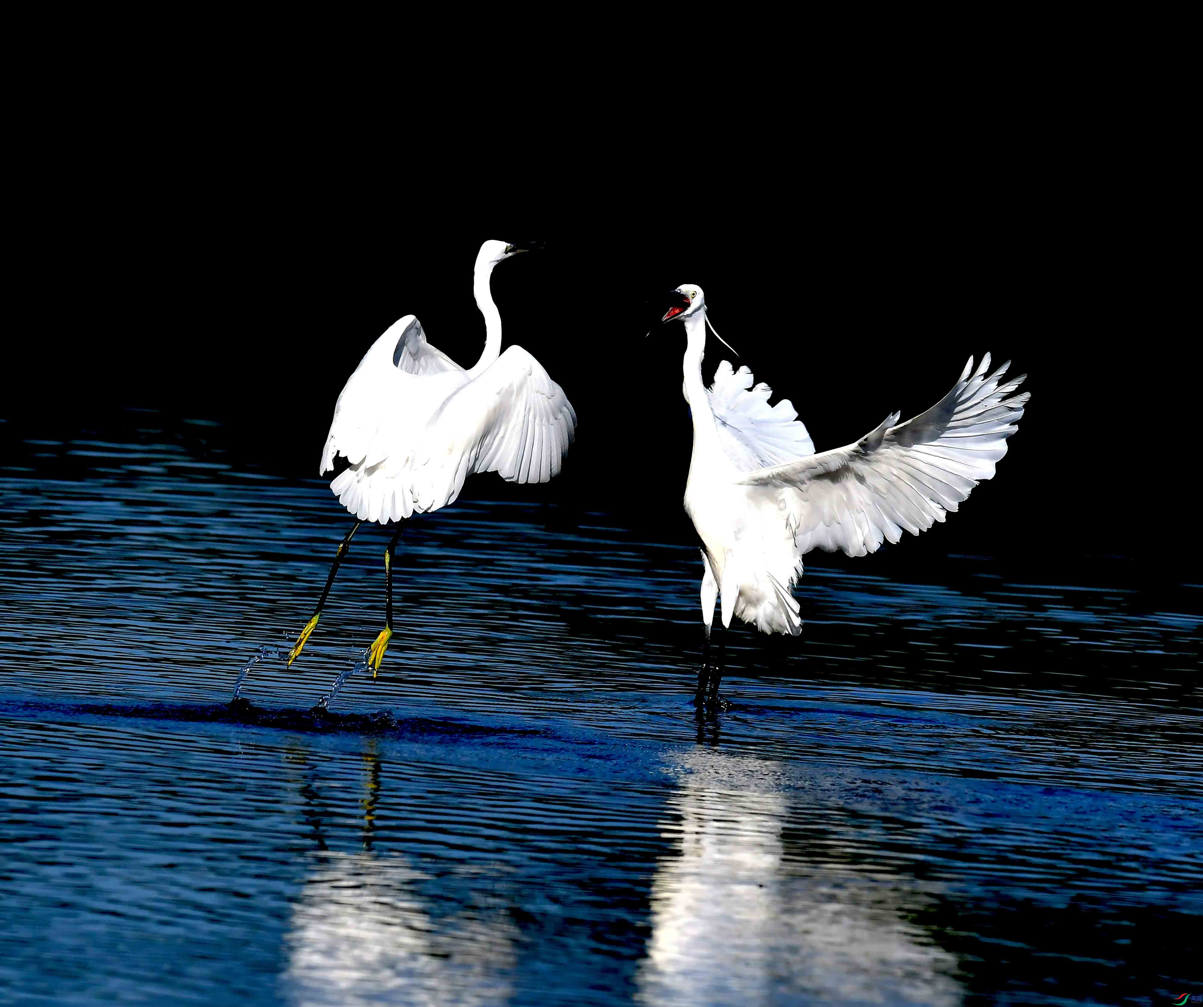 DSC_3595.JPG
