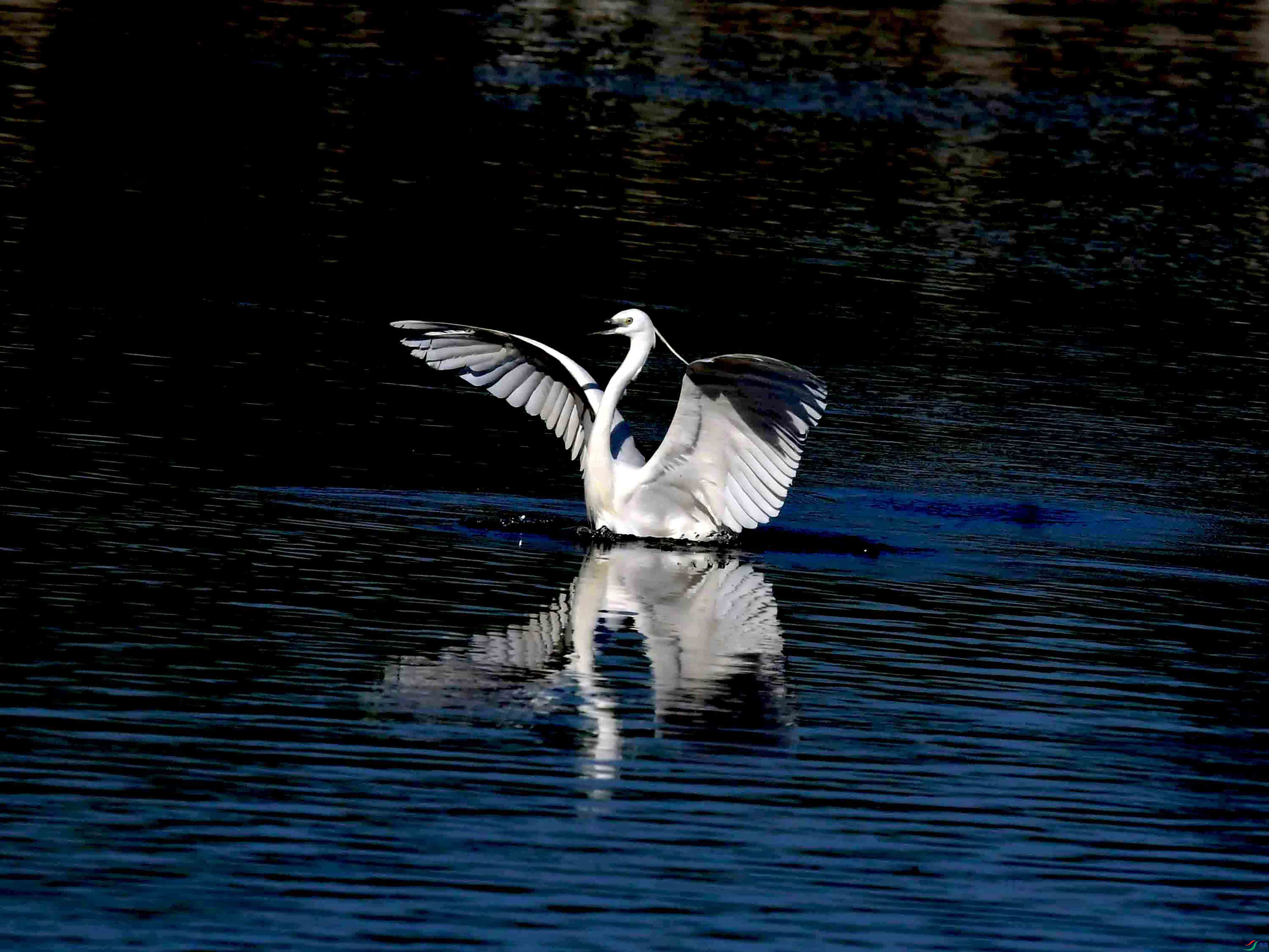 DSC_3604.JPG