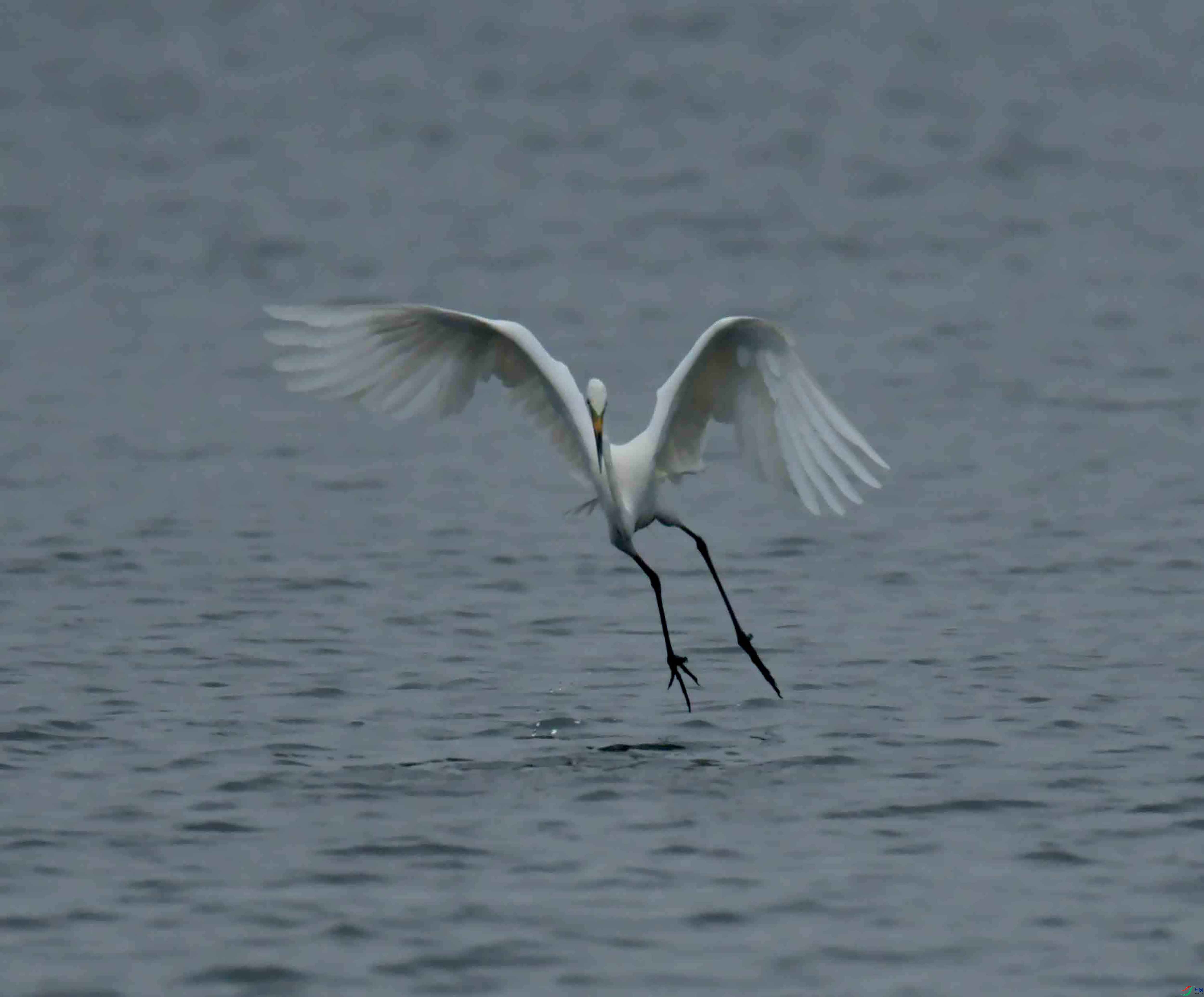DSC_9048.JPG
