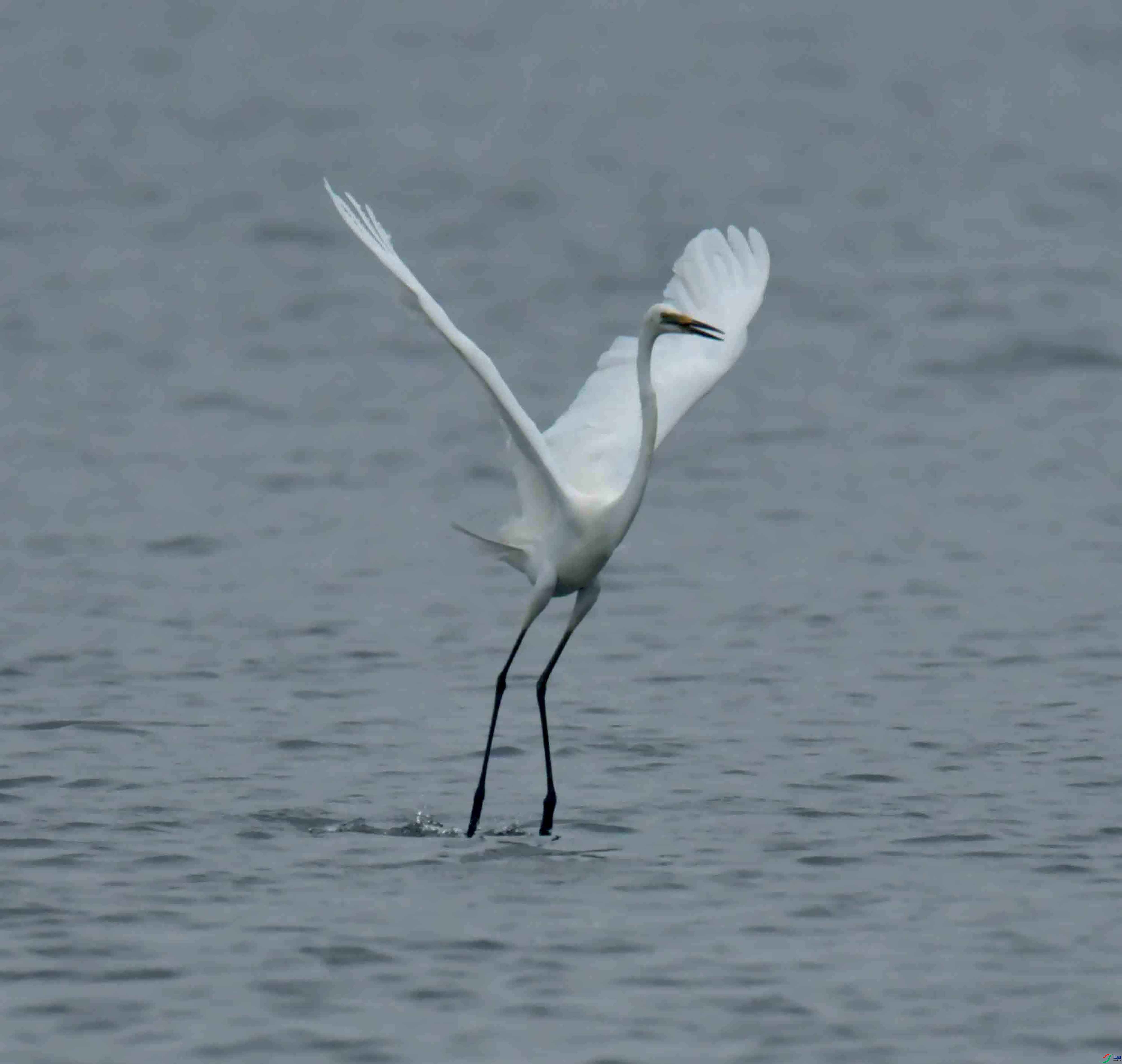 DSC_9050.JPG