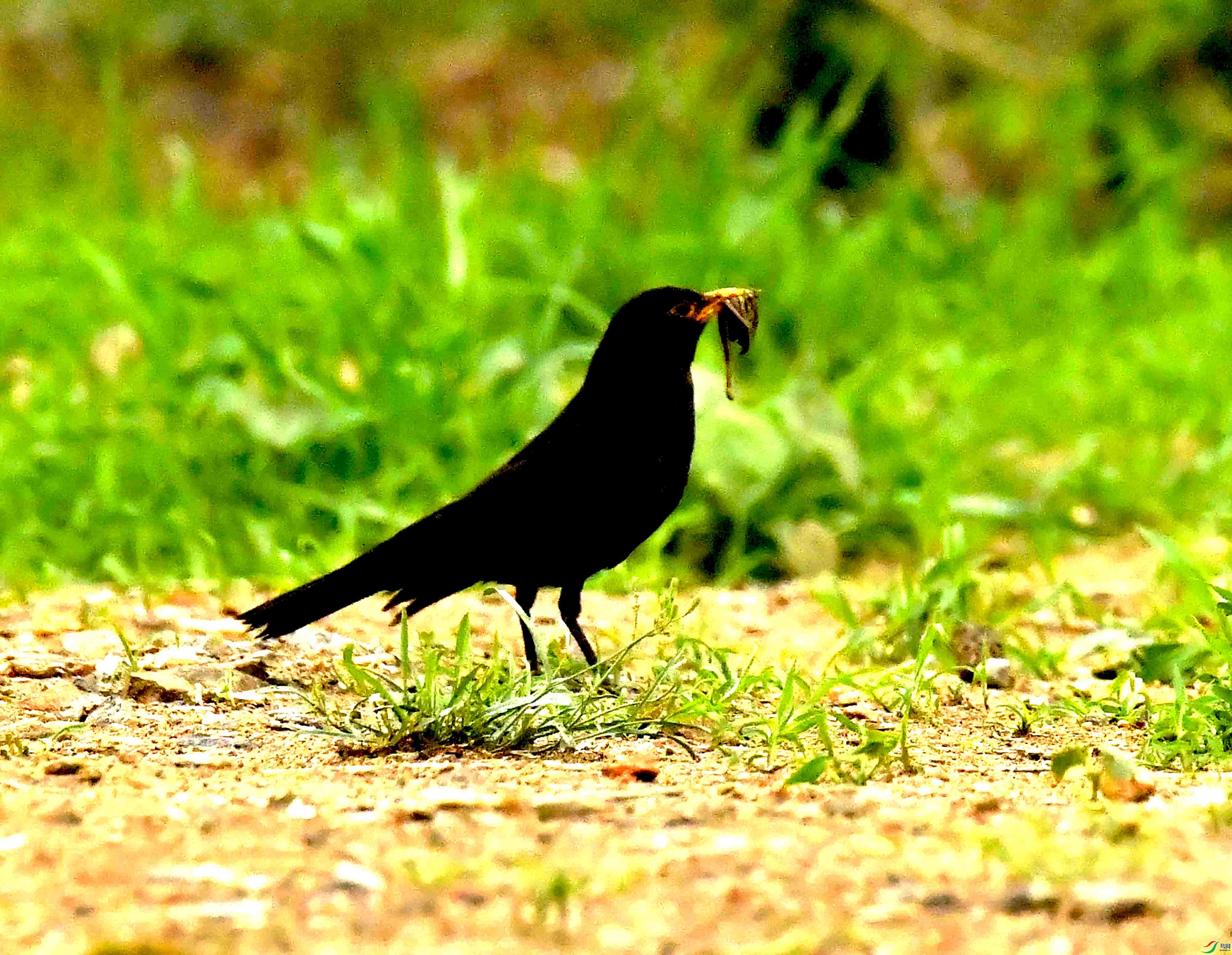 DSC_7662.JPG