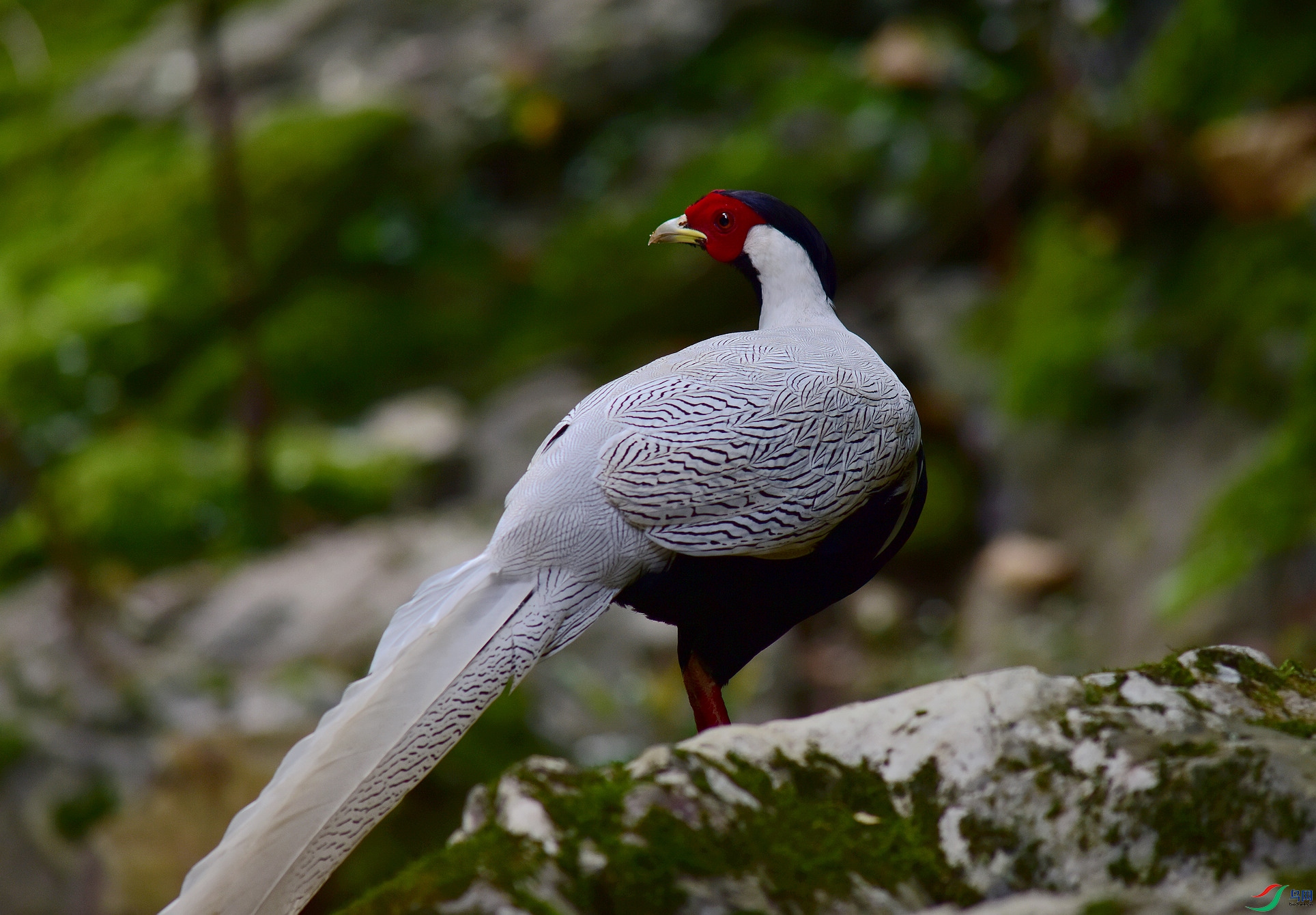 D8I_3502.jpg