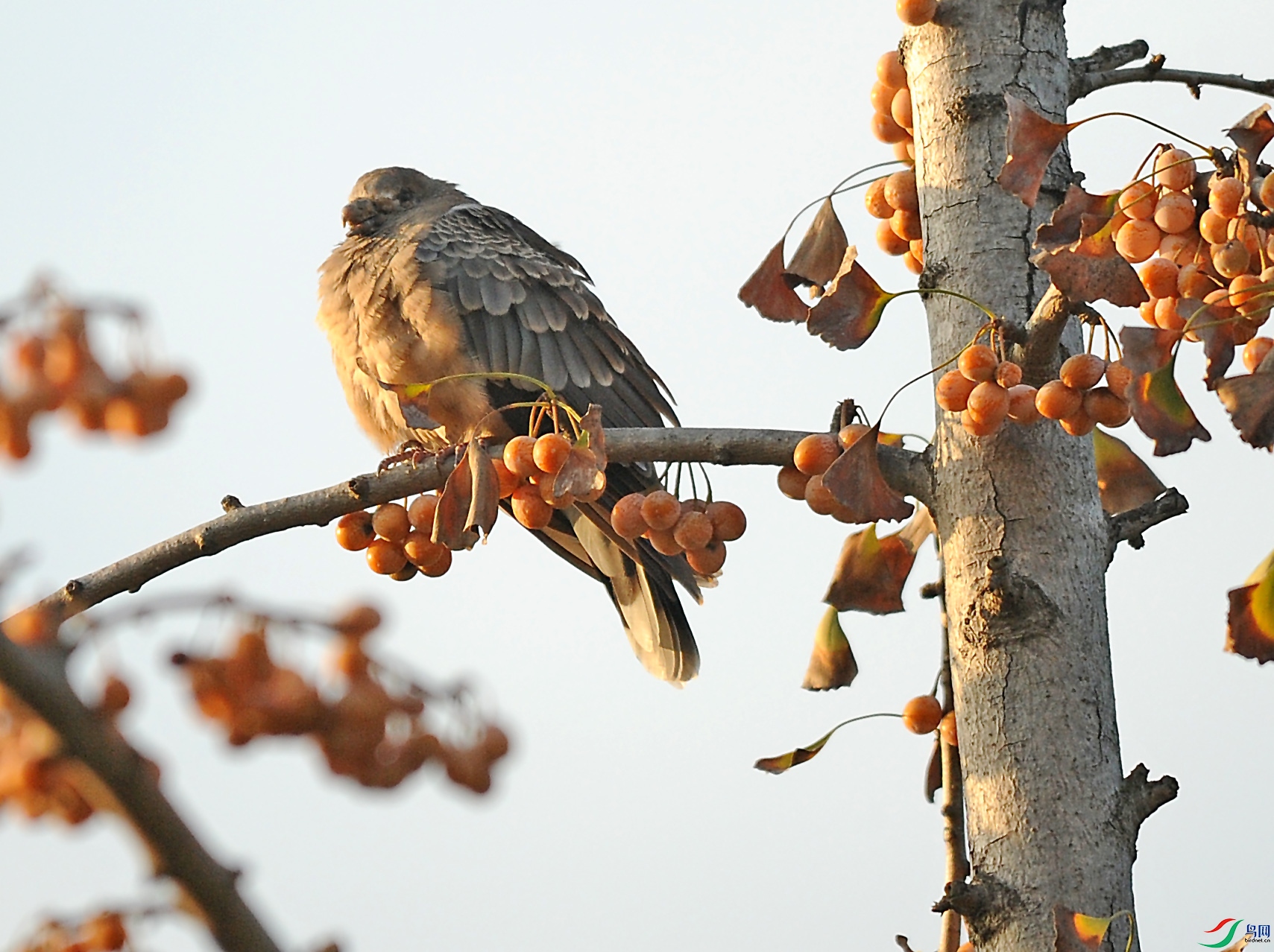 DSC_5863.jpg