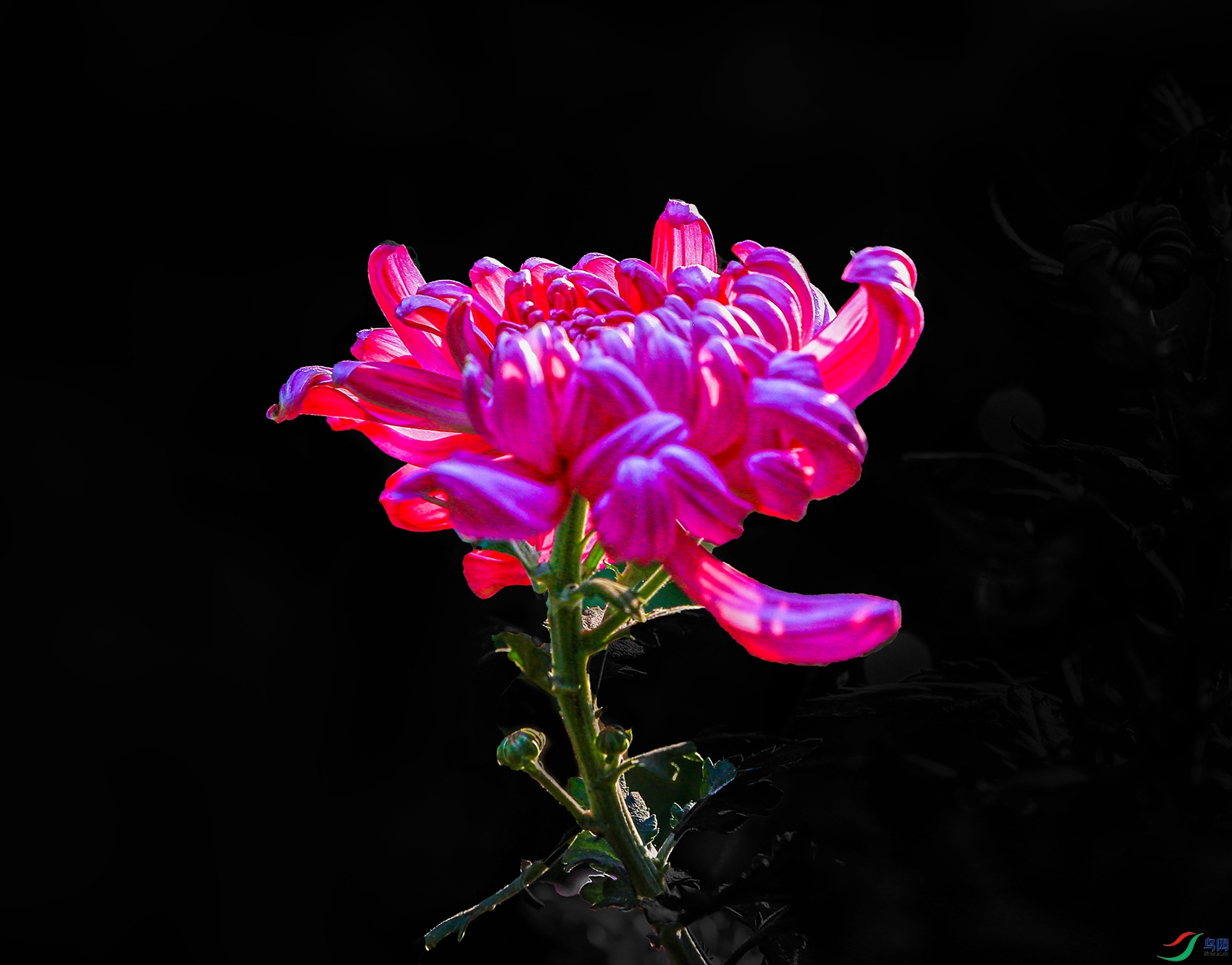 000002U9A0215 �����»� 1000k.jpg