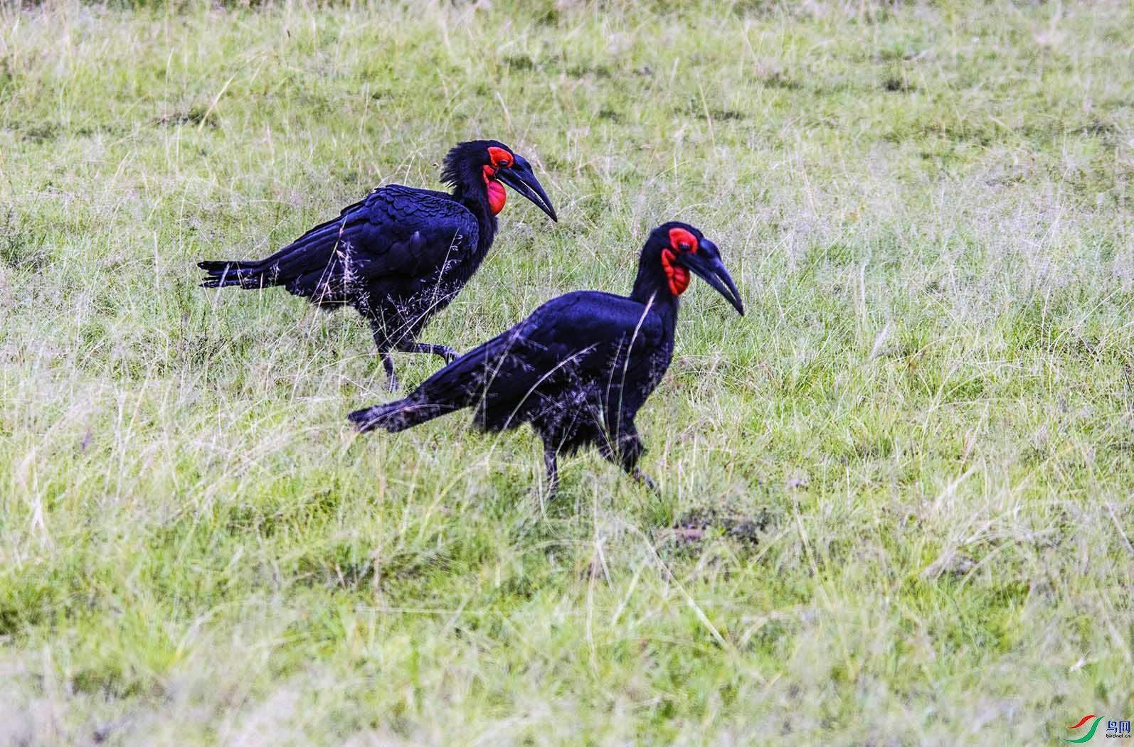 DSC_6627.jpg