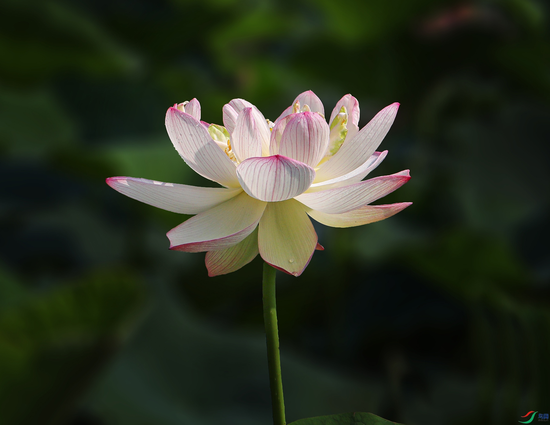 000000IMG_2758 ����1000k.jpg