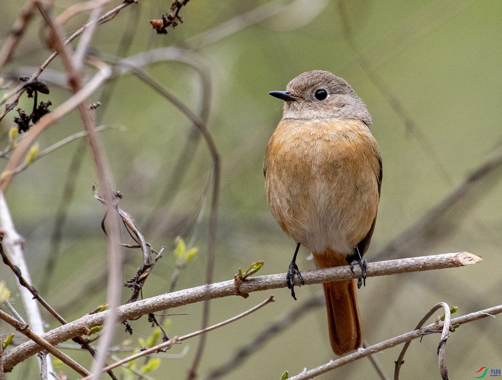DSC_5080.jpg