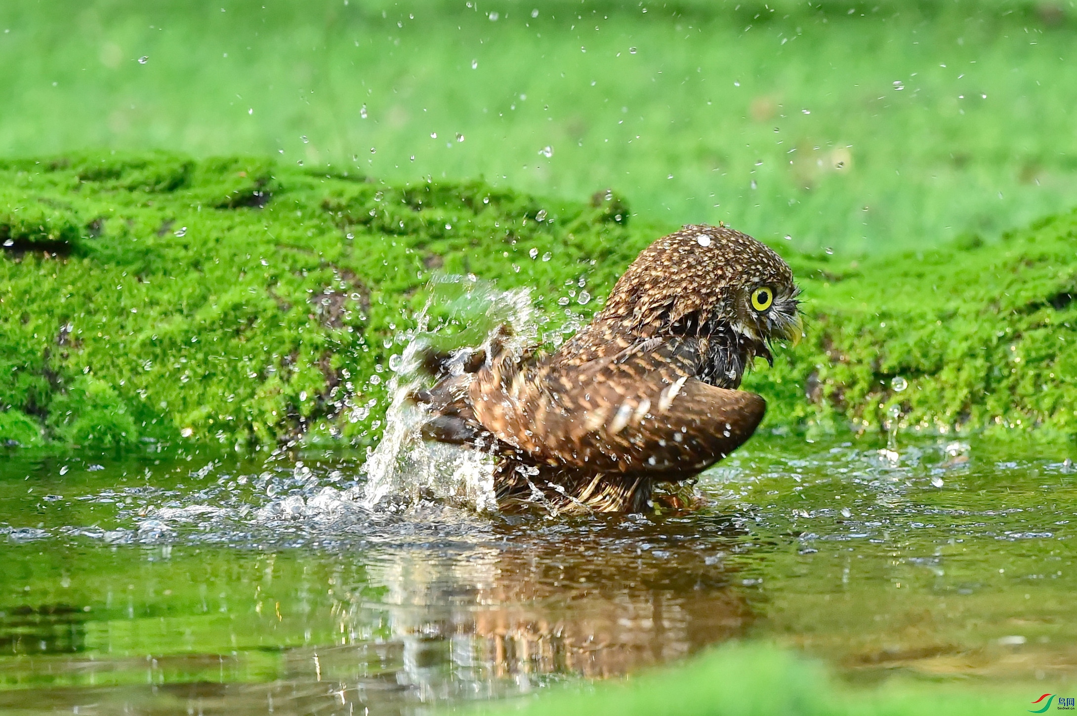 DSC_3589.JPG