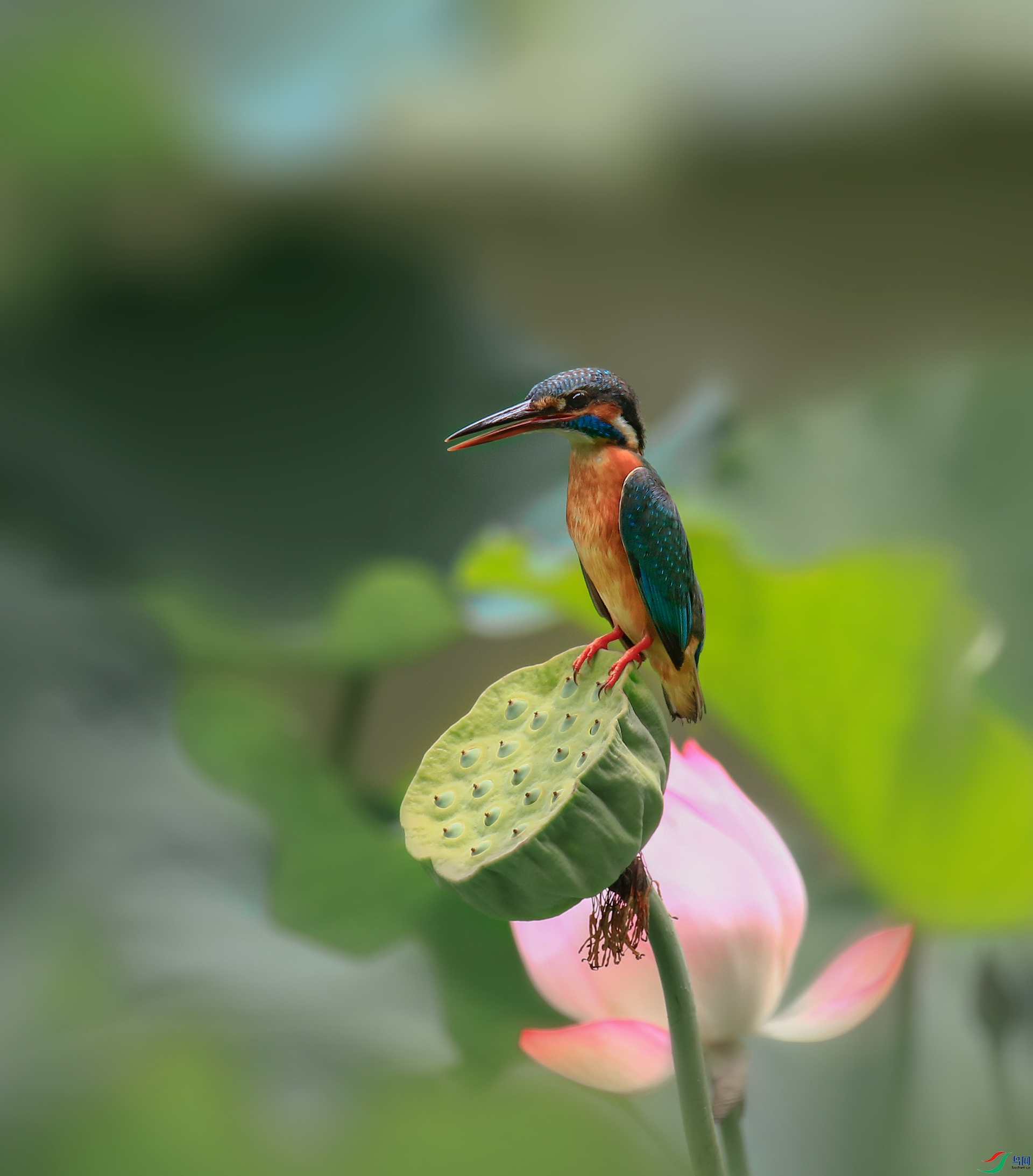 _A9A1687-����13.jpg