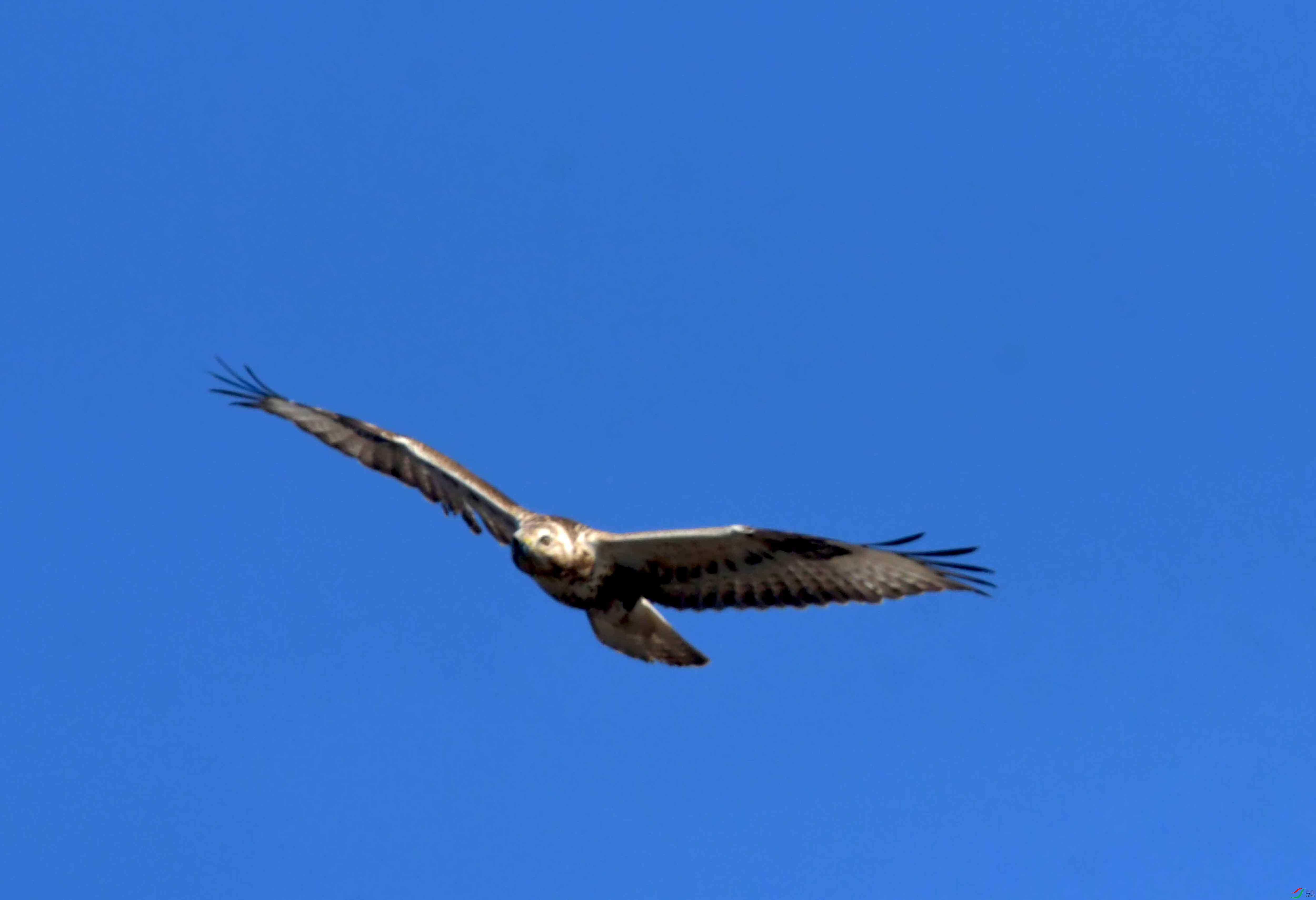 DSC_2563.JPG
