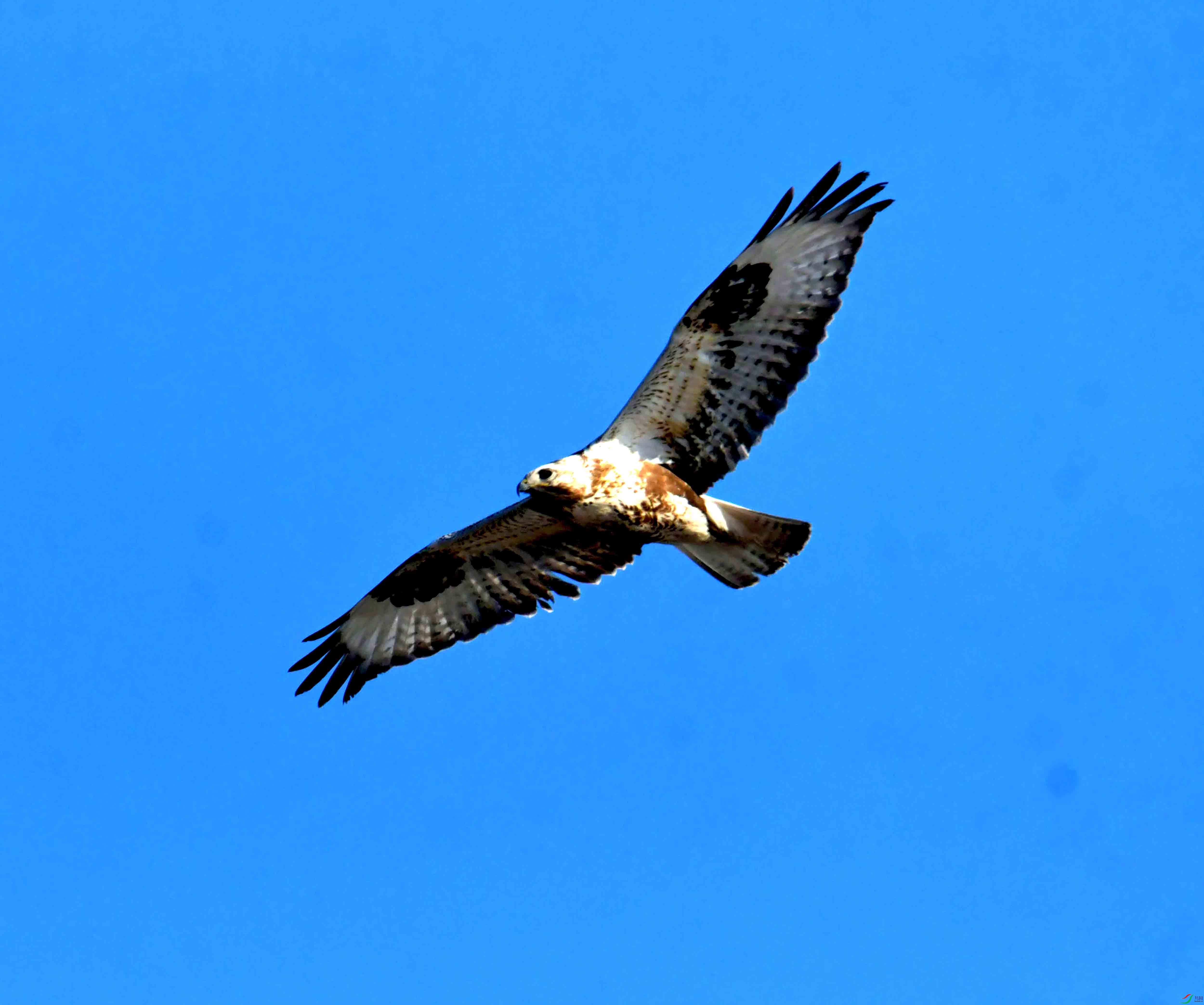 DSC_2578.JPG