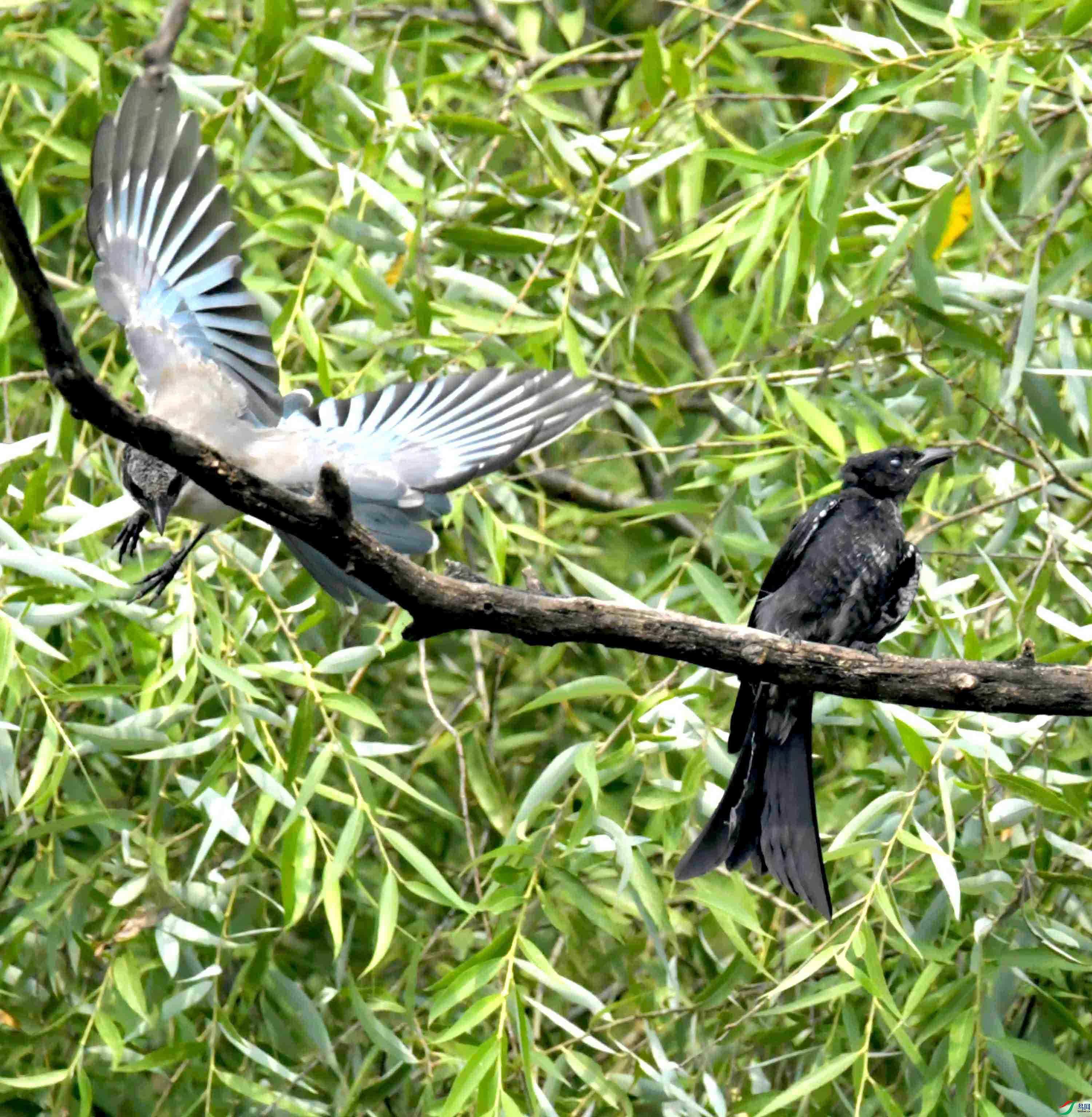 DSC_2483.JPG