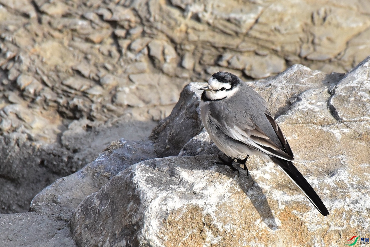 DSC_3635.JPG