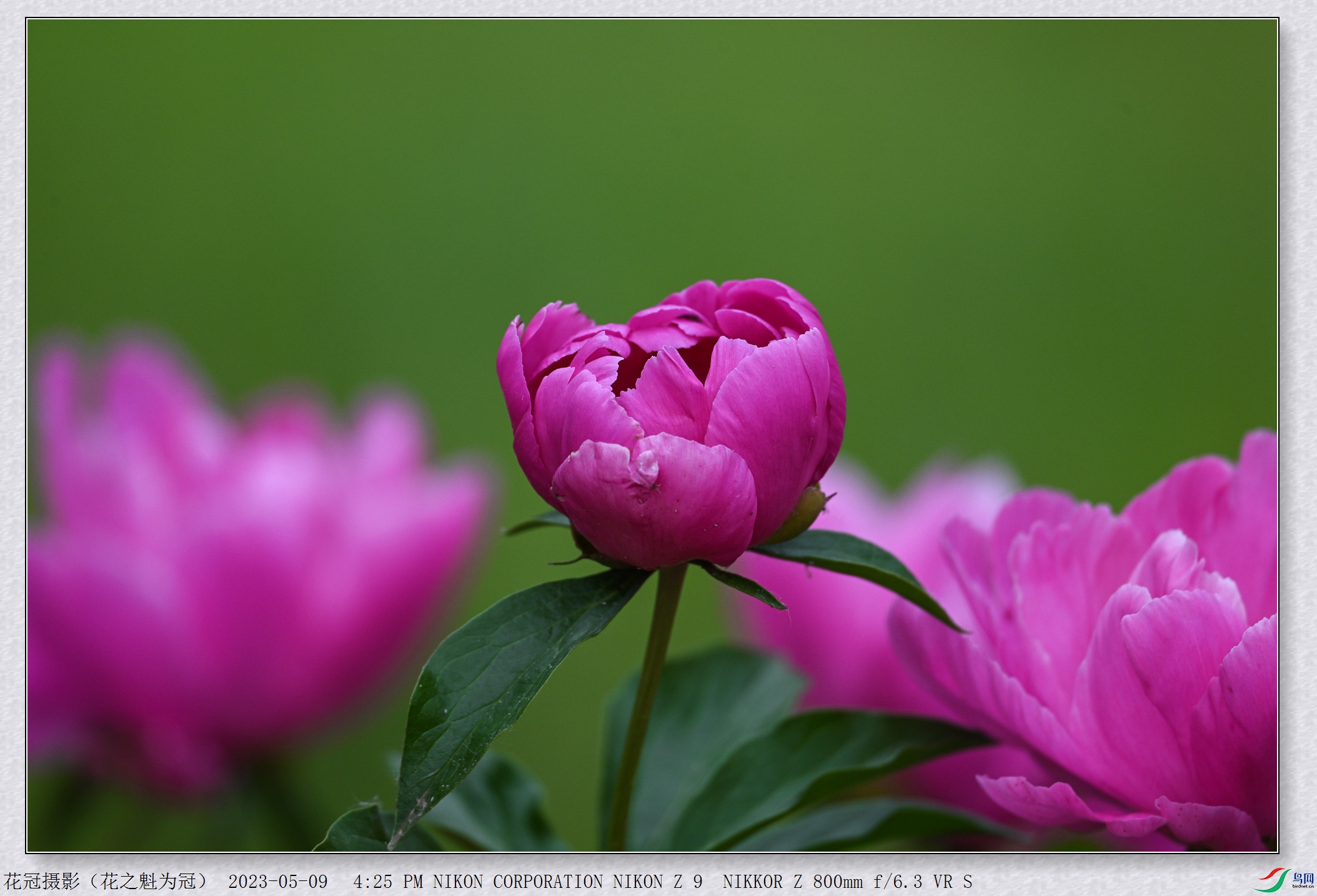 DSC_2843B-1_����.jpg