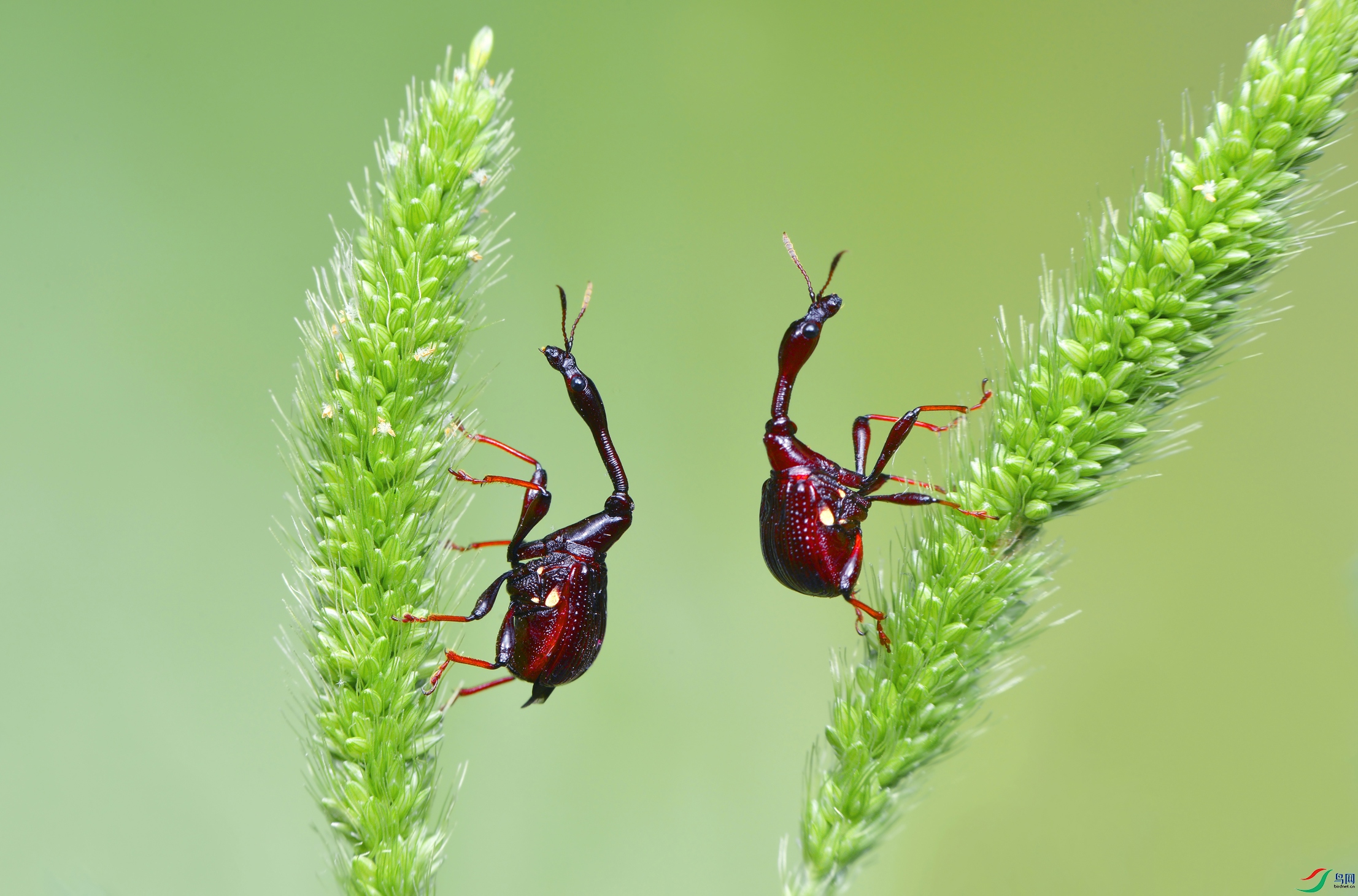 DSC_4211 ����.jpg