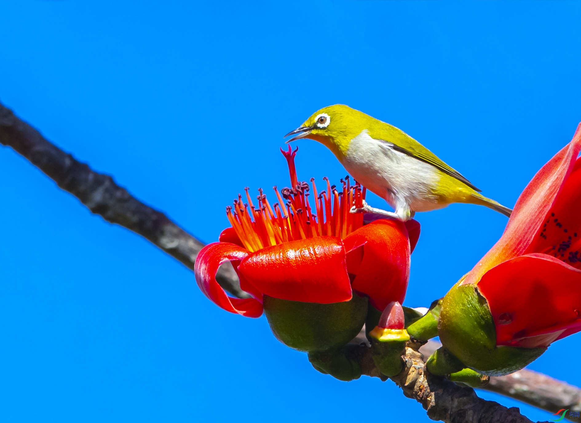 9769 ����.jpg