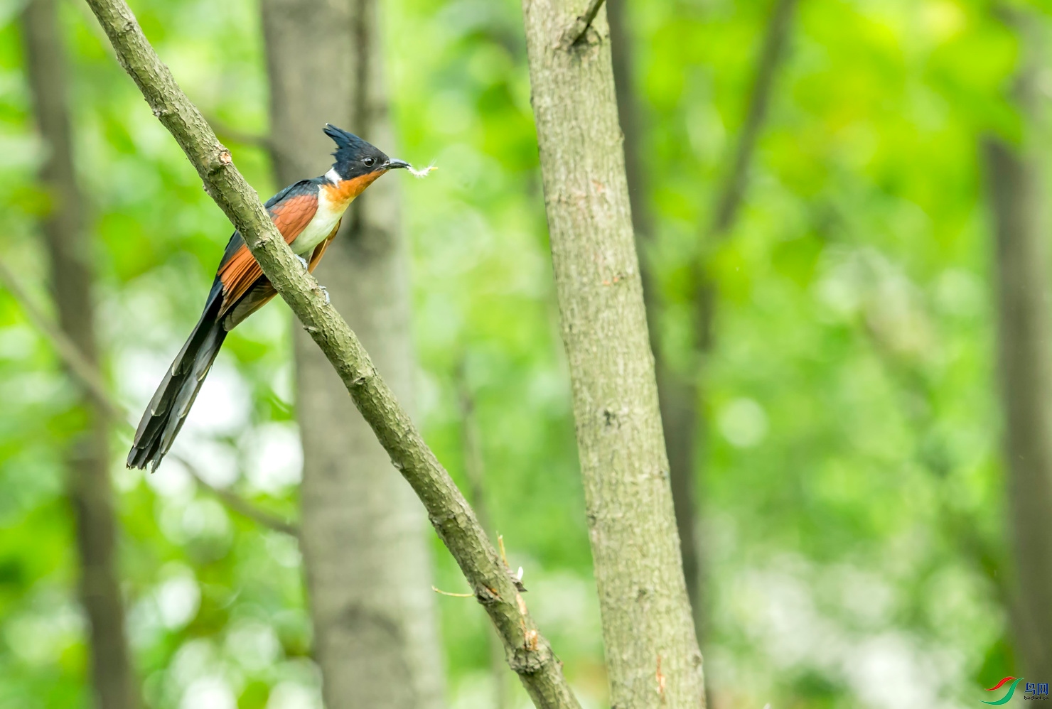 _E8J8455.jpg