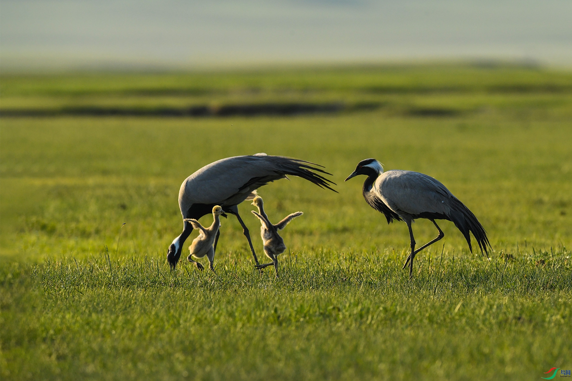 XQD_5133 ����.jpg