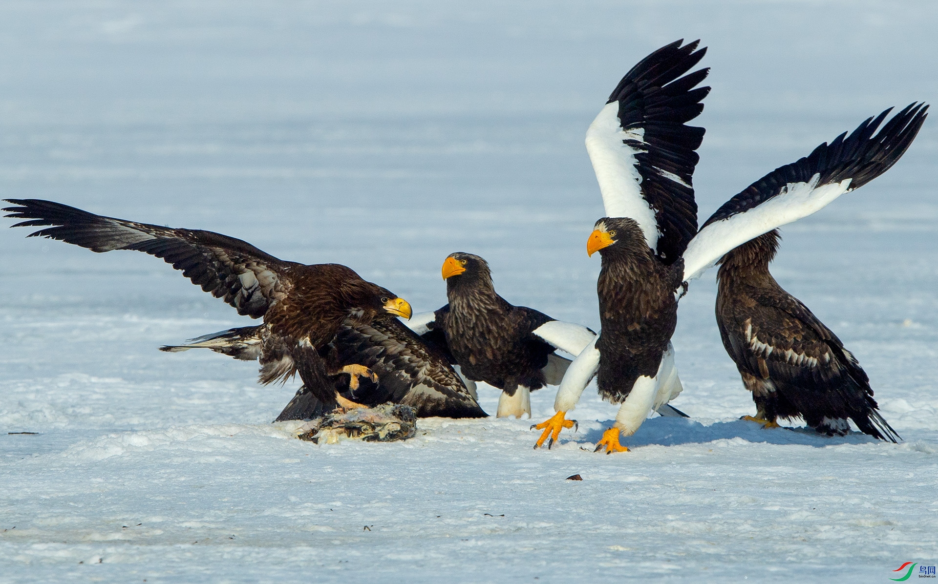 ��DSC_7402 ��ؐ.jpg