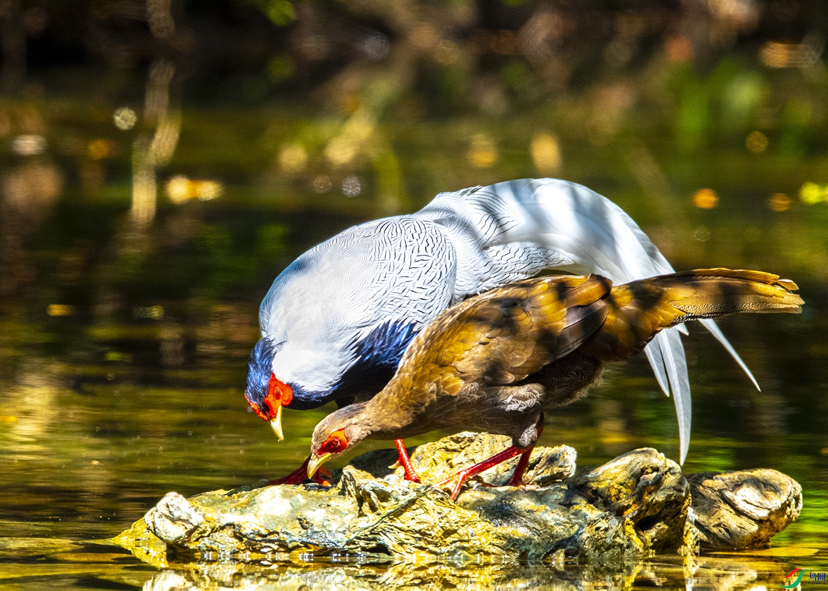 8245 ����.jpg