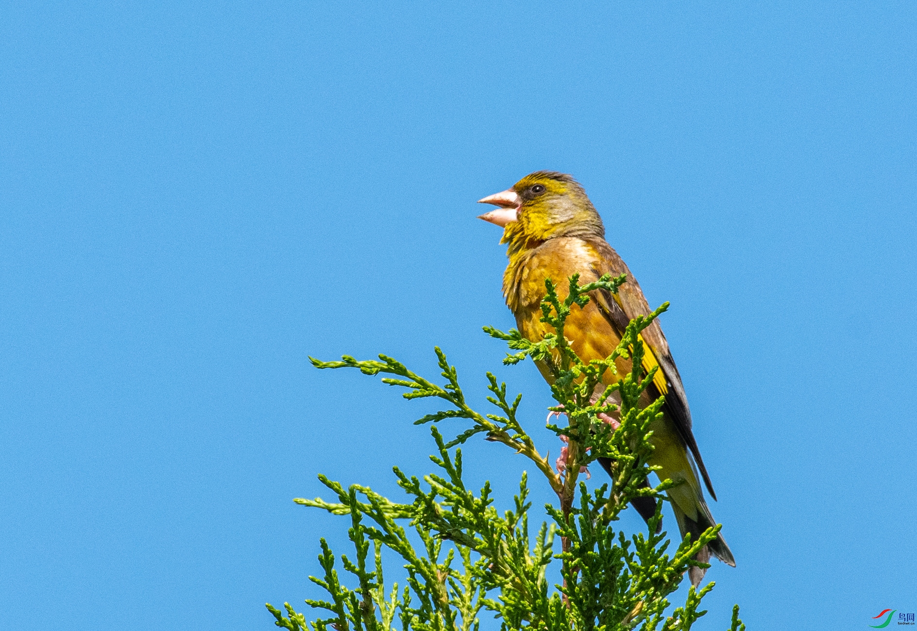 DSC_0207.jpg