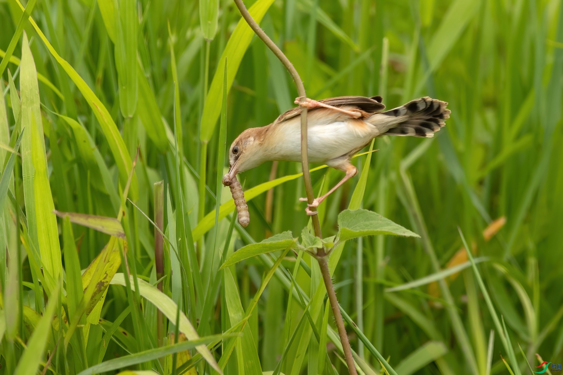 B86I8322 _����.jpg