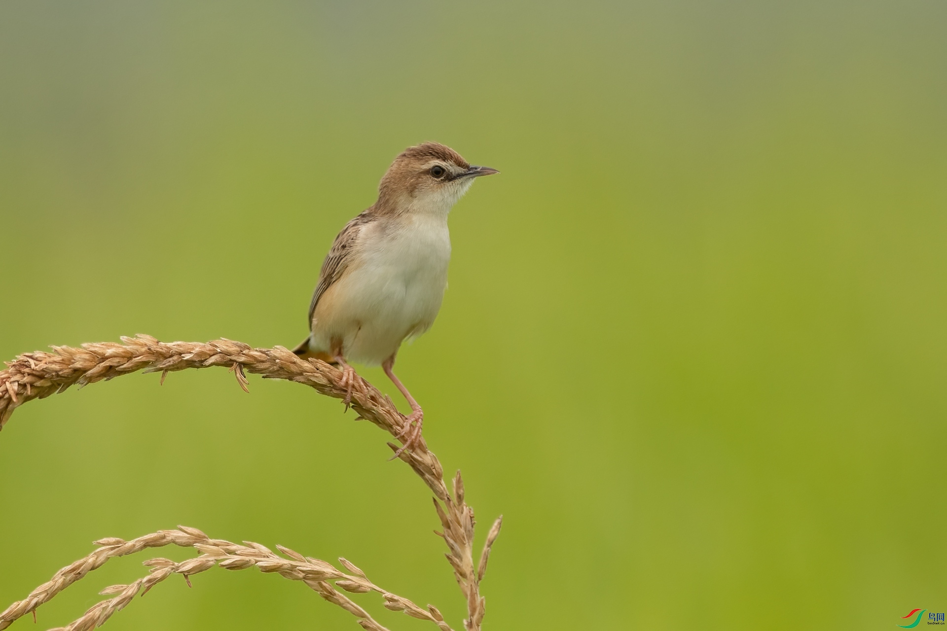 B86I8259 _����.jpg