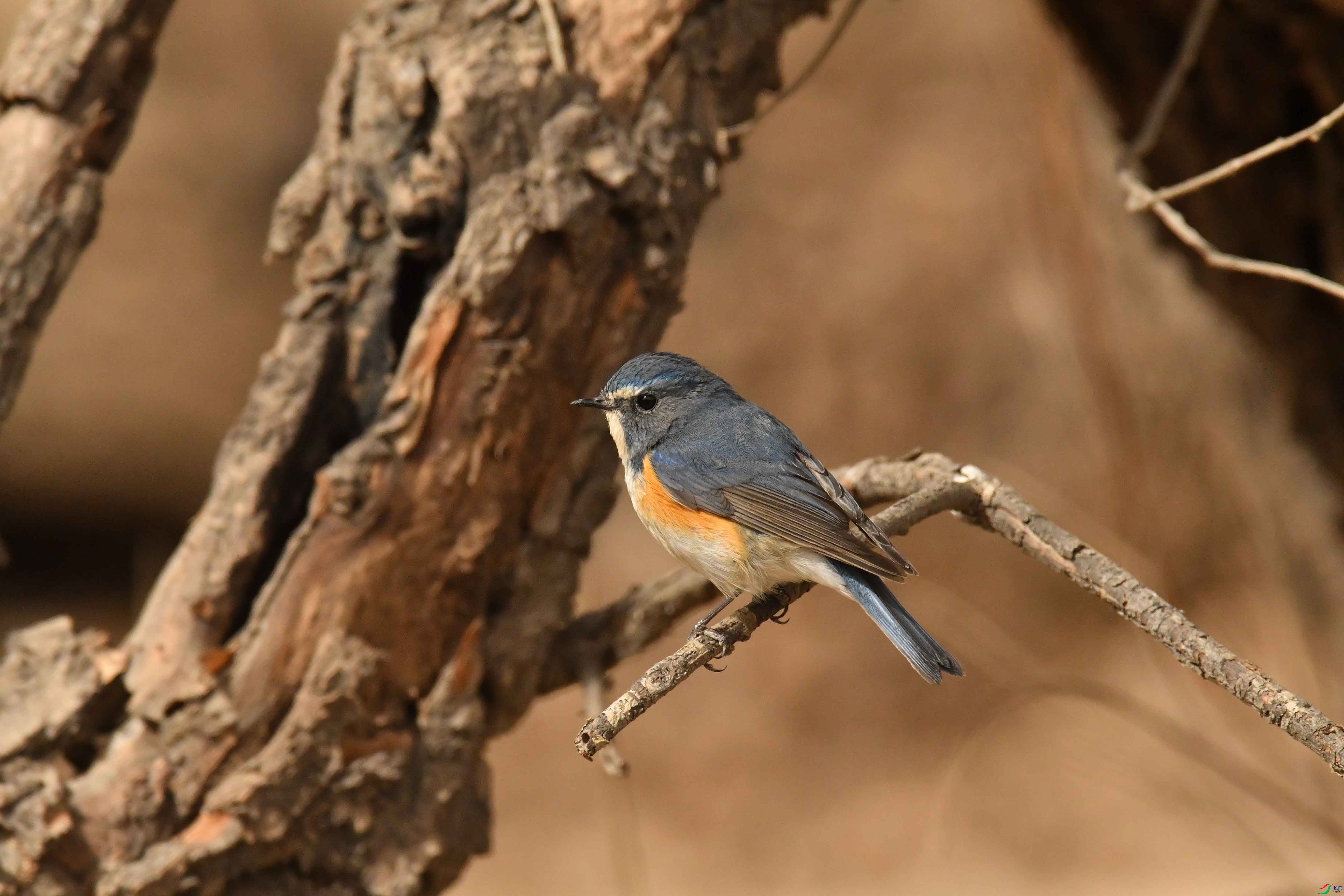 DSC_1325.JPG