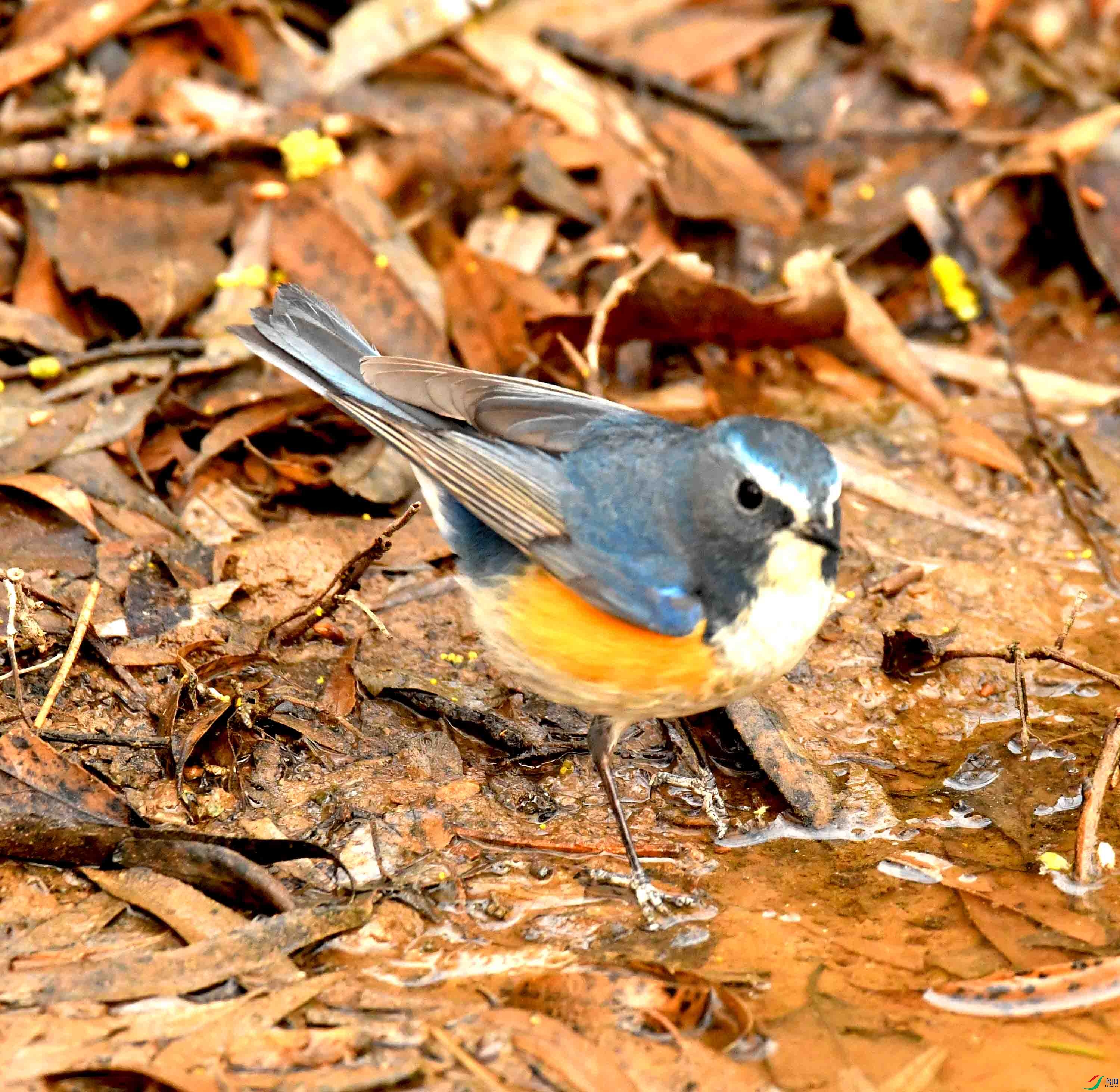DSC_1494.JPG