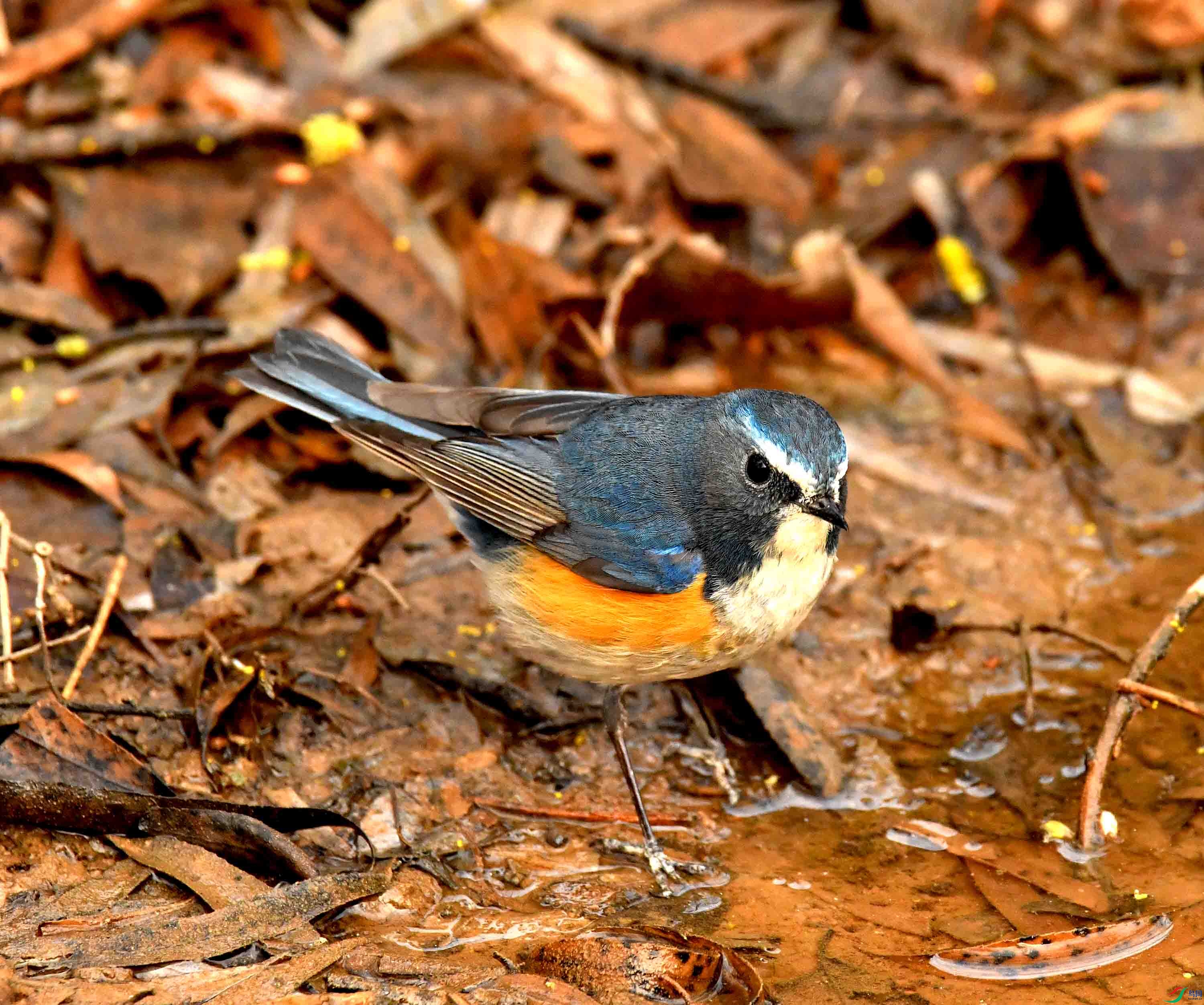DSC_1496.JPG