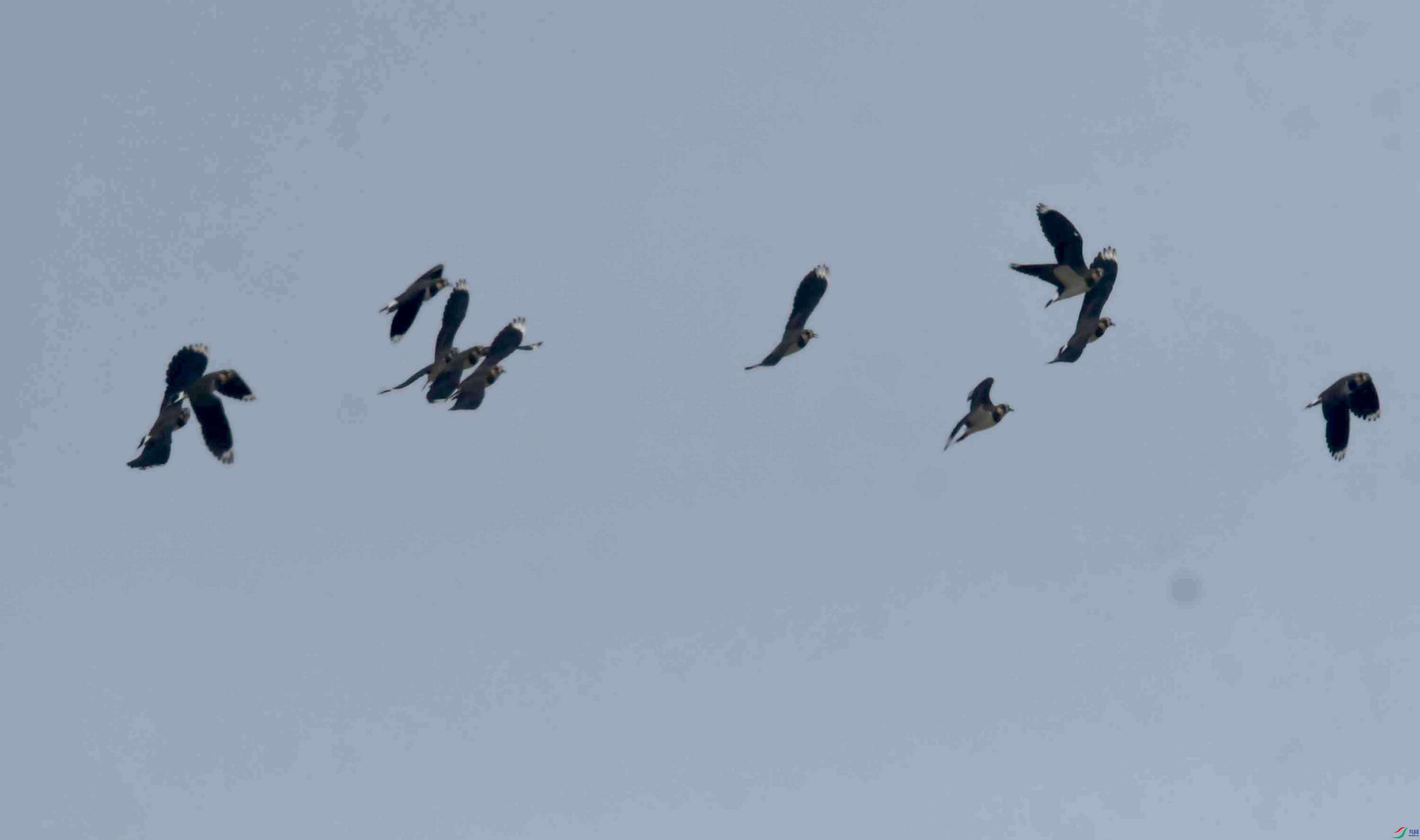 DSC_2568.JPG