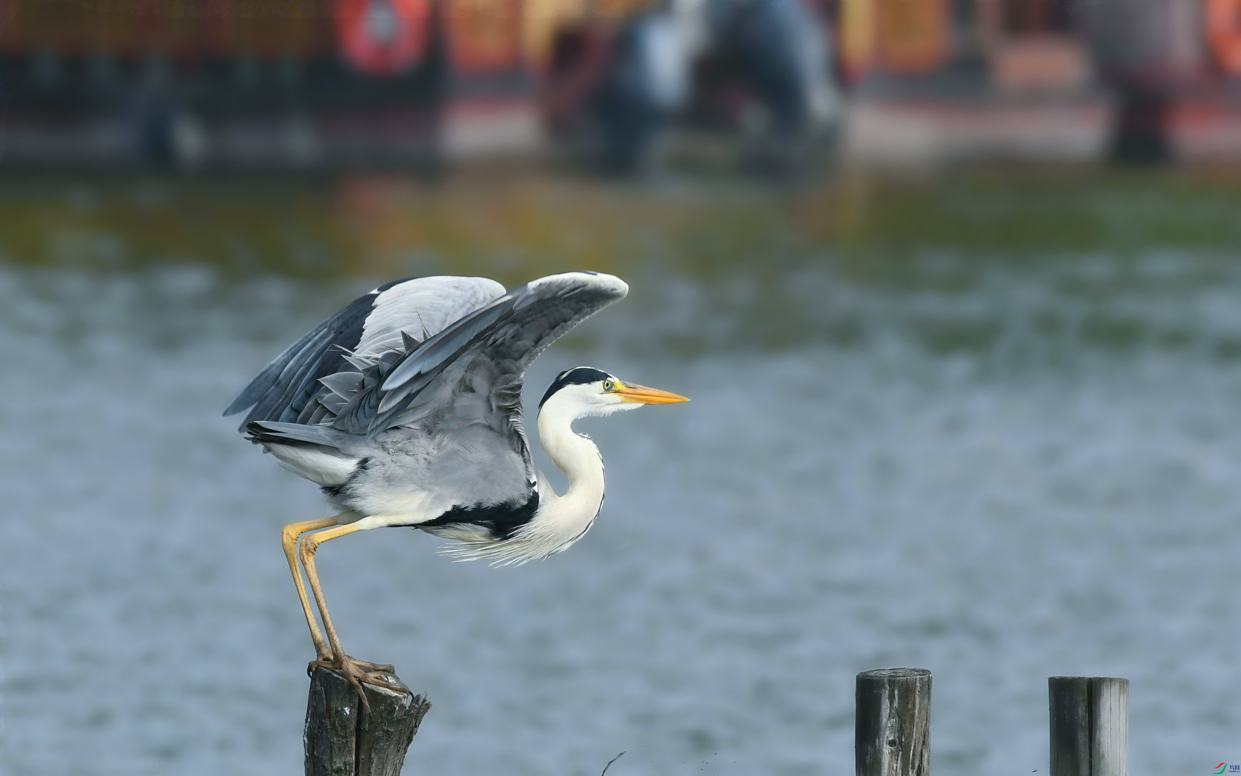DSC_3293.JPG