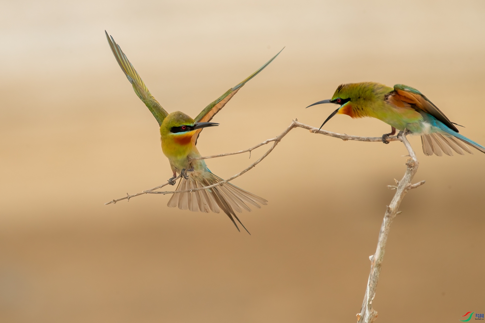 B86I4751 _����.jpg