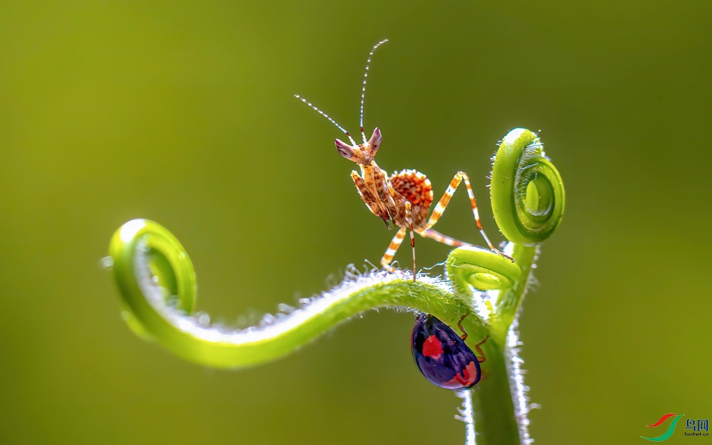 702_dh ����.jpg