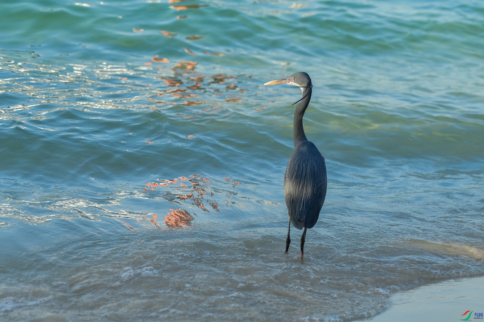 XQD_6516 ����.jpg